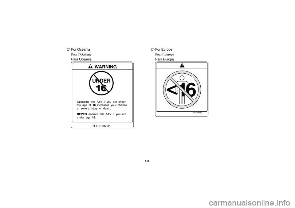 YAMAHA BIG BEAR PRO 400 2005  Manuale de Empleo (in Spanish) 1-3
2For Oceania
Pour l’Océanie
Para Oceanía2For Europe
Pour l’Europa
Para Europa
UNDERWARNING5FE-21697-01
NEVER  operate  this  ATV  if  you  areunder  age  16. Operating  this  ATV  if  you  a