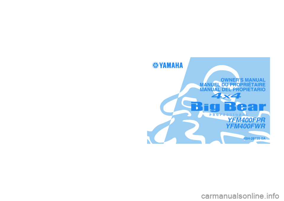 YAMAHA BIG BEAR PRO 400 2003  Manuale de Empleo (in Spanish) 