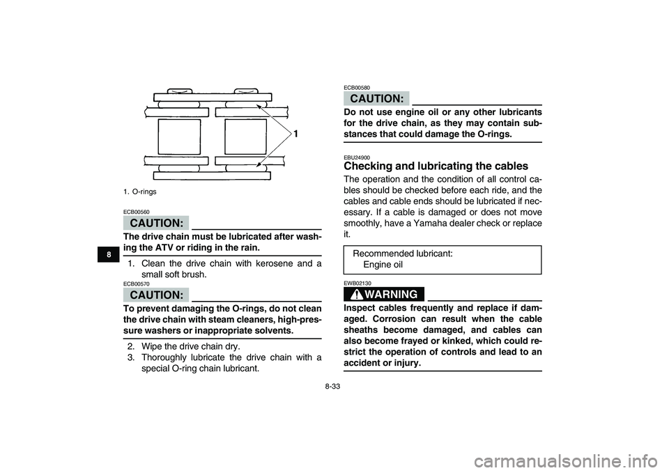 YAMAHA BLASTER 200 2007  Owners Manual  
8-33 
1
2
3
4
5
6
78
9
10
11
CAUTION:
 
ECB00560  
The drive chain must be lubricated after wash- 
ing the ATV or riding in the rain. 
1. Clean the drive chain with kerosene and a
small soft brush.
