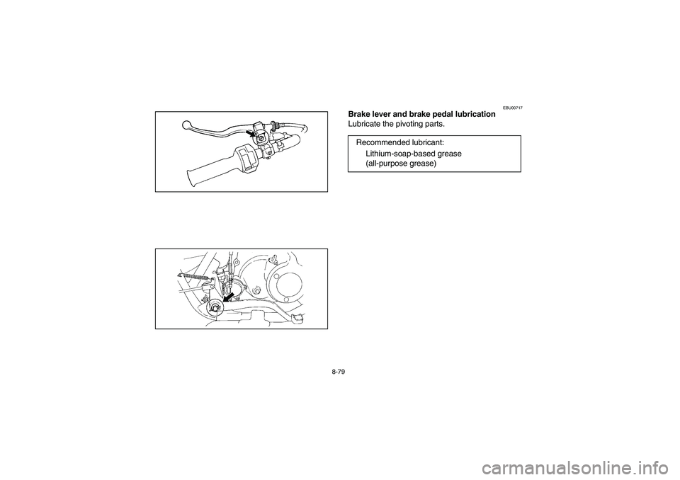 YAMAHA BRUIN 250 2006  Owners Manual 8-79
EBU00717
Brake lever and brake pedal lubrication
Lubricate the pivoting parts.
Recommended lubricant:
Lithium-soap-based grease 
(all-purpose grease)
EE.book  Page 79  Friday, May 27, 2005  5:00 