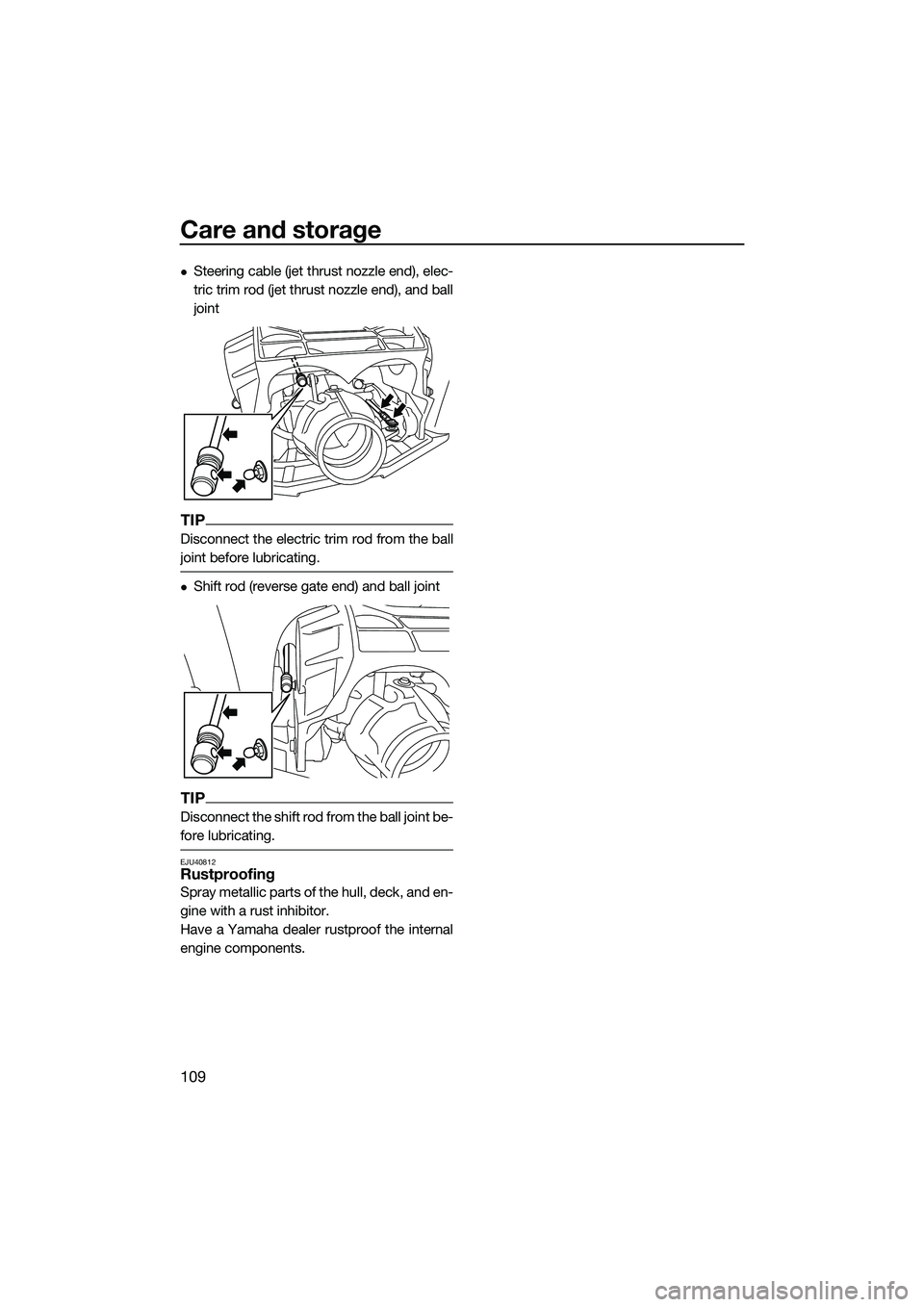 YAMAHA FX HO CRUISER 2022  Owners Manual Care and storage
109
Steering cable (jet thrust nozzle end), elec-
tric trim rod (jet thrust nozzle end), and ball
joint
TIP
Disconnect the electric trim rod from the ball
joint before lubricating.