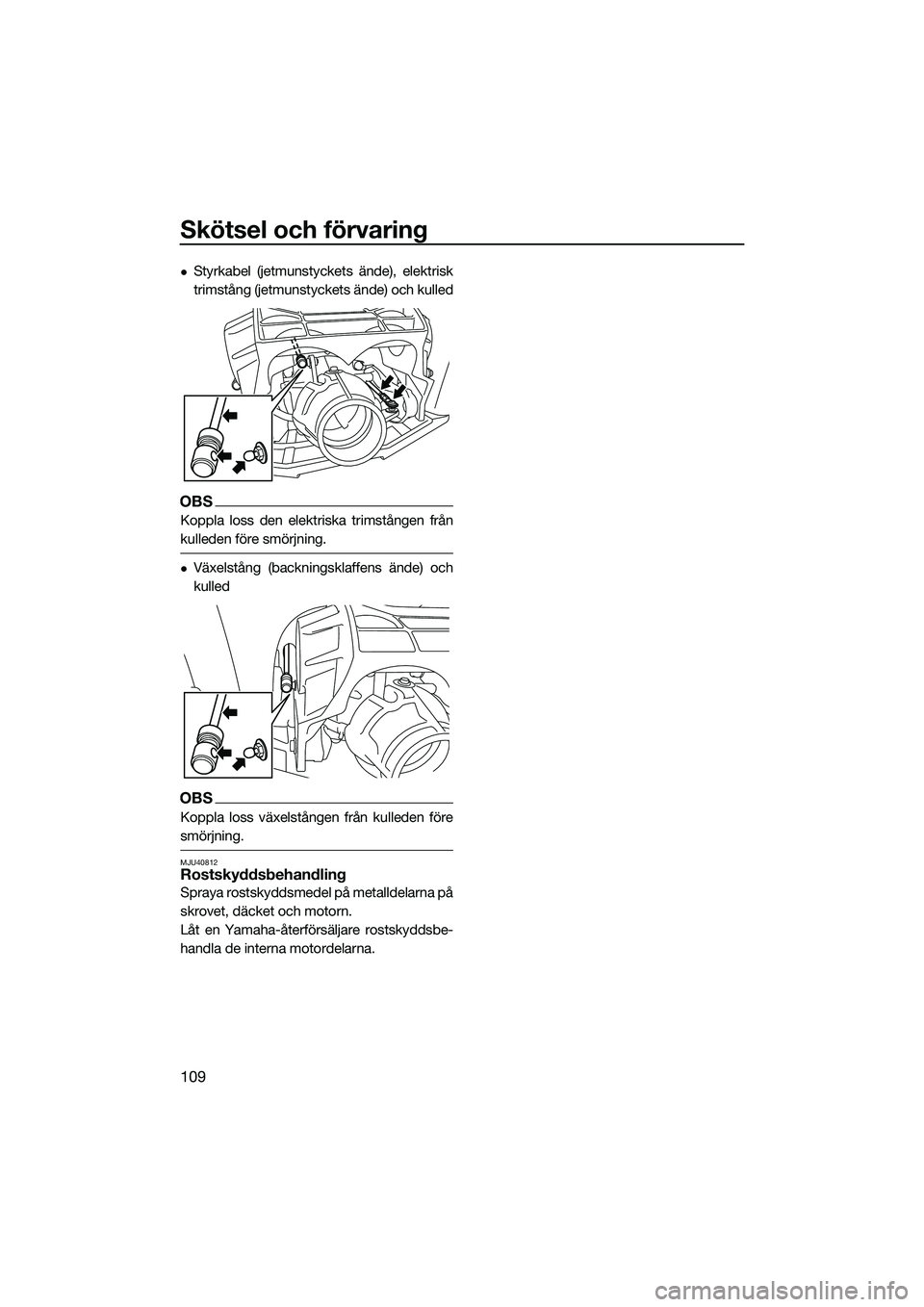 YAMAHA FX HO CRUISER 2022  Bruksanvisningar (in Swedish) Skötsel och förvaring
109
Styrkabel (jetmunstyckets ände), elektrisk
trimstång (jetmunstyckets ände) och kulled
OBS
Koppla loss den elektriska trimstången från
kulleden före smörjning.
