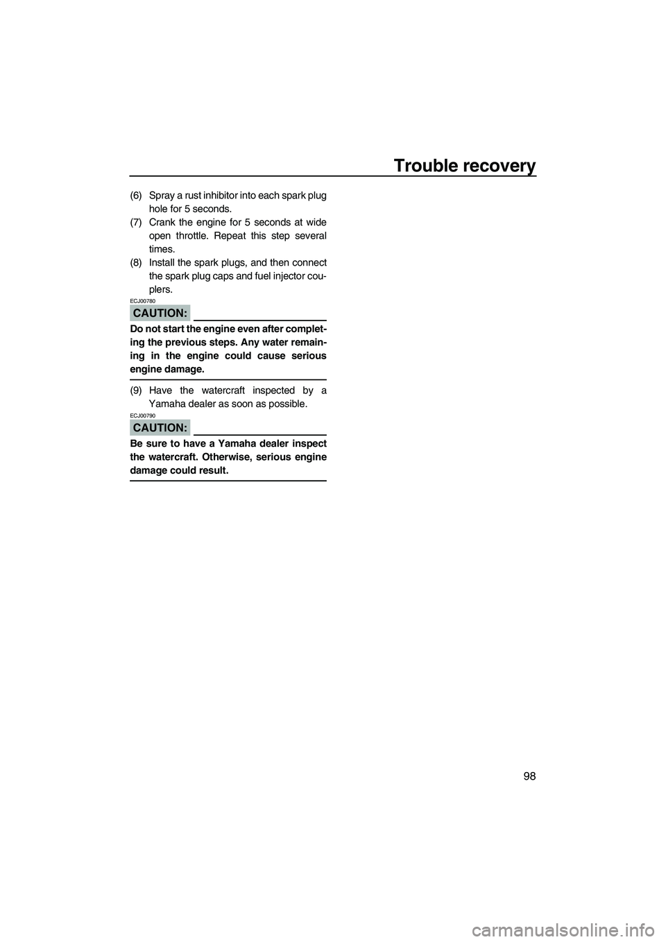 YAMAHA FX HO CRUISER 2007  Owners Manual Trouble recovery
98
(6) Spray a rust inhibitor into each spark plug
hole for 5 seconds.
(7) Crank the engine for 5 seconds at wide
open throttle. Repeat this step several
times.
(8) Install the spark 