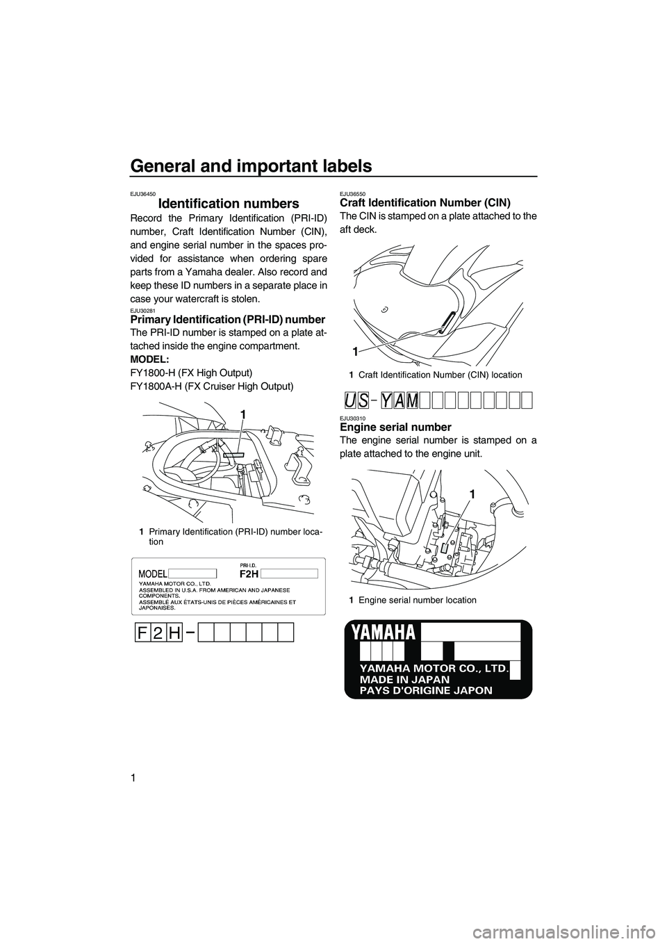 YAMAHA FX HO CRUISER 2009  Owners Manual General and important labels
1
EJU36450
Identification numbers 
Record the Primary Identification (PRI-ID)
number, Craft Identification Number (CIN),
and engine serial number in the spaces pro-
vided 