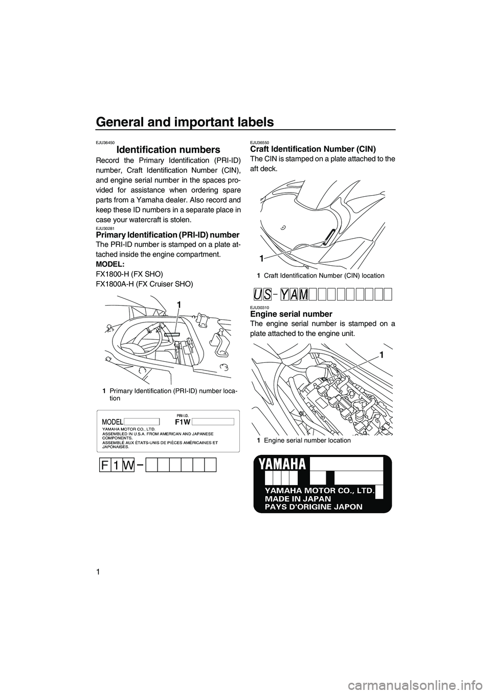 YAMAHA SVHO 2009  Owners Manual General and important labels
1
EJU36450
Identification numbers 
Record the Primary Identification (PRI-ID)
number, Craft Identification Number (CIN),
and engine serial number in the spaces pro-
vided 