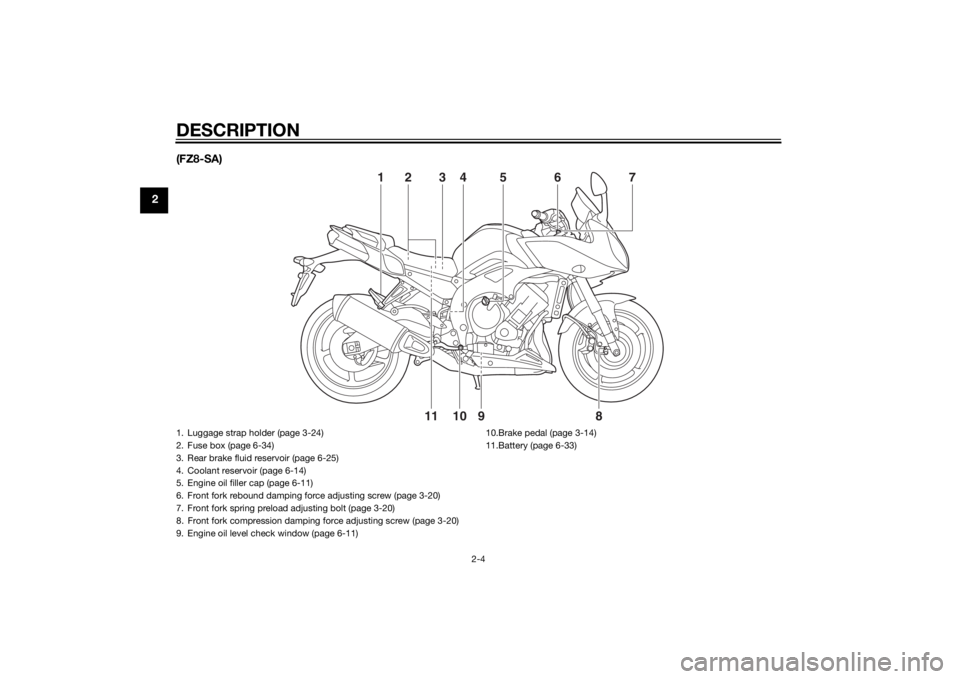 YAMAHA FZ8 S 2011 User Guide DESCRIPTION
2-4
2(FZ8-SA)
911 10
24
5
3
1
8
7
6
1. Luggage strap holder (page 3-24)
2. Fuse box (page 6-34)
3. Rear brake fluid reservoir (page 6-25)
4. Coolant reservoir (page 6-14)
5. Engine oil fil