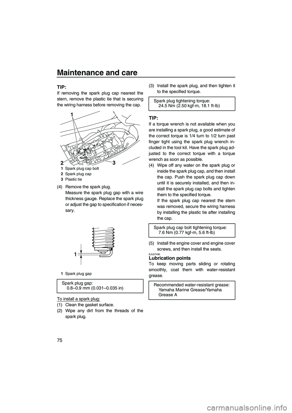 YAMAHA FZR SVHO 2009 Manual Online Maintenance and care
75
TIP:
If removing the spark plug cap nearest the
stern, remove the plastic tie that is securing
the wiring harness before removing the cap.
(4) Remove the spark plug.
Measure th