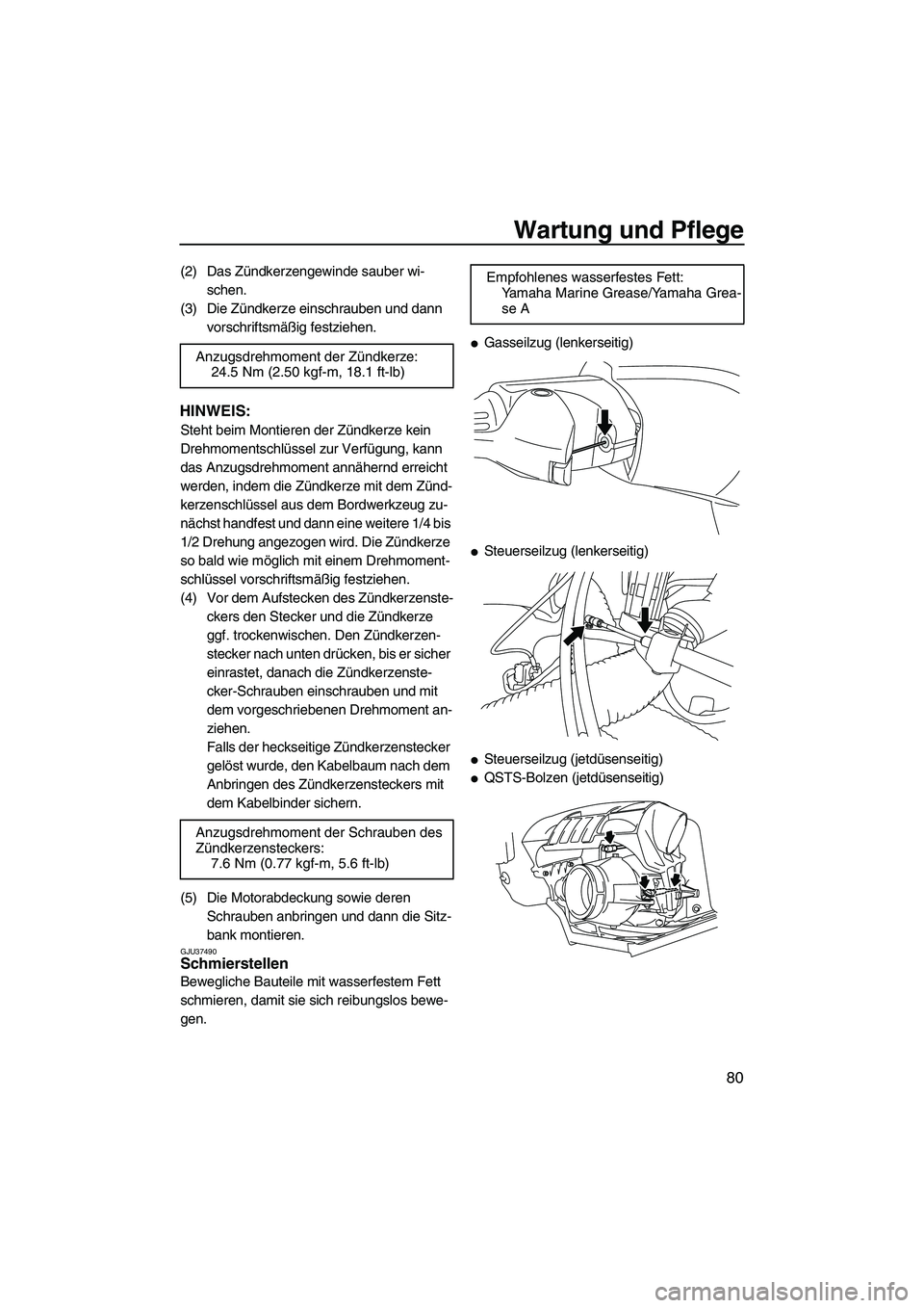 YAMAHA FZR 2009  Betriebsanleitungen (in German) Wartung und Pflege
80
(2) Das Zündkerzengewinde sauber wi-
schen.
(3) Die Zündkerze einschrauben und dann 
vorschriftsmäßig festziehen.
HINWEIS:
Steht beim Montieren der Zündkerze kein 
Drehmomen