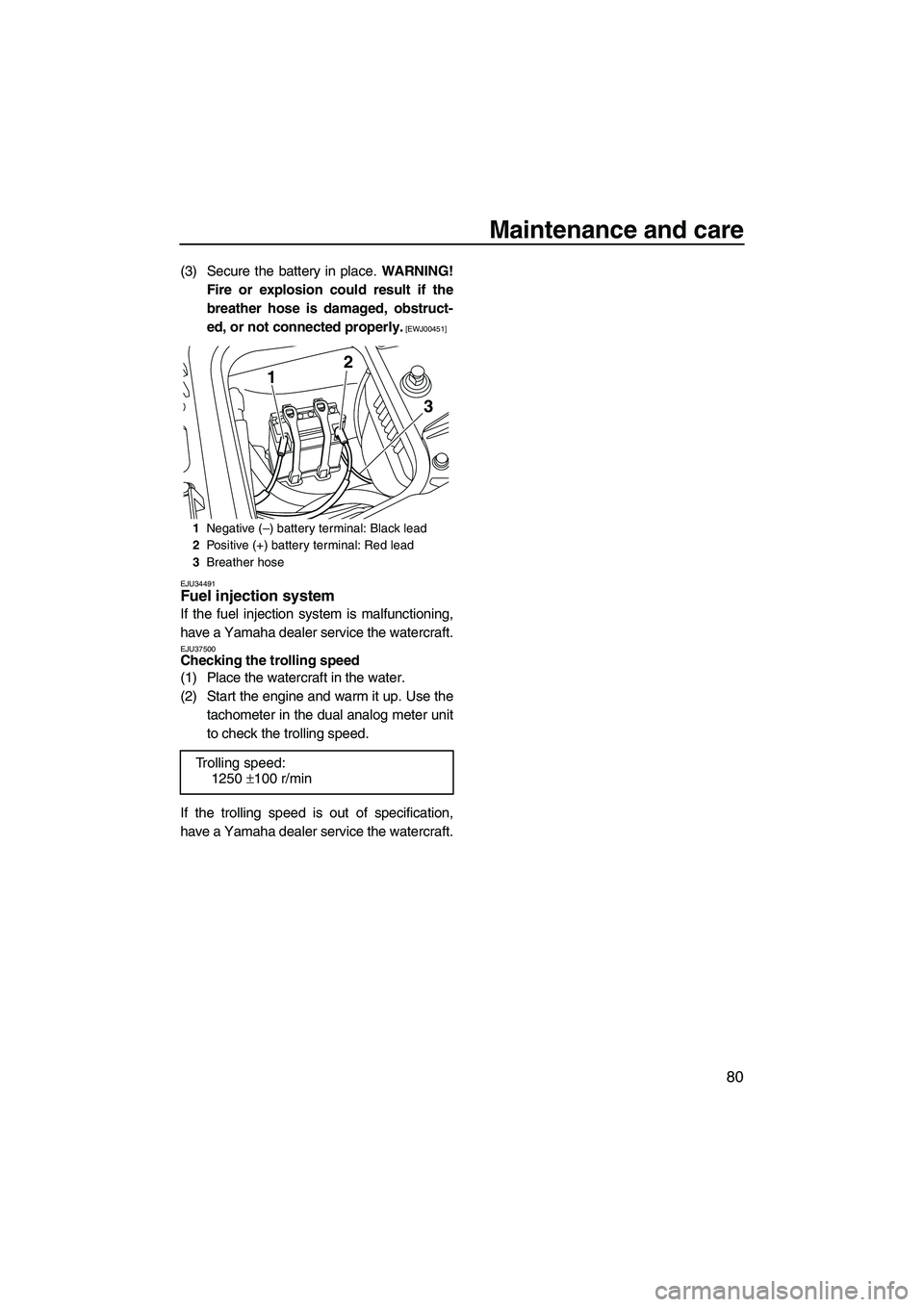 YAMAHA FZS 2009 Manual Online Maintenance and care
80
(3) Secure the battery in place. WARNING!
Fire or explosion could result if the
breather hose is damaged, obstruct-
ed, or not connected properly.
 [EWJ00451]
EJU34491
Fuel inj