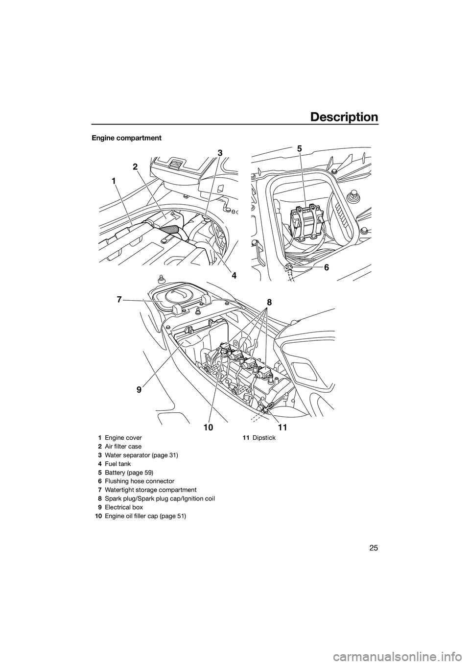 YAMAHA FZS SVHO 2015 Owners Manual Description
25
Engine compartment
12
3
4 6
5
10 11
8
97
1 Engine cover
2 Air filter case
3 Water separator (page 31)
4 Fuel tank
5 Battery (page 59)
6 Flushing hose connector
7 Watertight storage comp YAMAHA FZS SVHO 2015 Owners Manual Description
25
Engine compartment
12
3
4 6
5
10 11
8
97
1 Engine cover
2 Air filter case
3 Water separator (page 31)
4 Fuel tank
5 Battery (page 59)
6 Flushing hose connector
7 Watertight storage comp