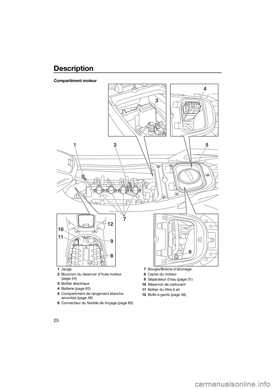 YAMAHA GP1800 2017  Notices Demploi (in French) Description
25
Compartiment moteur
3
4
125
11
10
9
12
86
7
1Jauge
2Bouchon du réservoir d’huile moteur 
(page 54)
3Boîtier électrique
4Batterie (page 62)
5Compartiment de rangement étanche 
amov