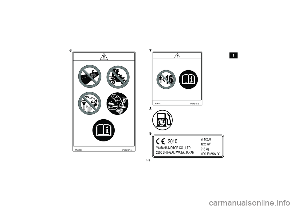 YAMAHA GRIZZLY 250 2011  Manuale de Empleo (in Spanish) 1-3
1
1P0-F816L-20
1P0-F816R-00
YAMAHA MOTOR CO., LTD.
2500 SHINGAI, IWATA, JAPANYFM250
12.2 kW
216 kg
2010
1P0-F155A-30
67
8
9
U1P066S0.book  Page 3  Thursday, August 5, 2010  5:12 PM 