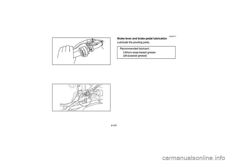 YAMAHA KODIAK 400 2003  Manuale de Empleo (in Spanish) 8-107
EBU00717
Brake lever and brake pedal lubrication
Lubricate the pivoting parts.
Recommended lubricant:
Lithium-soap-based grease 
(all-purpose grease)
U5TE60.book  Page 107  Monday, June 10, 2002