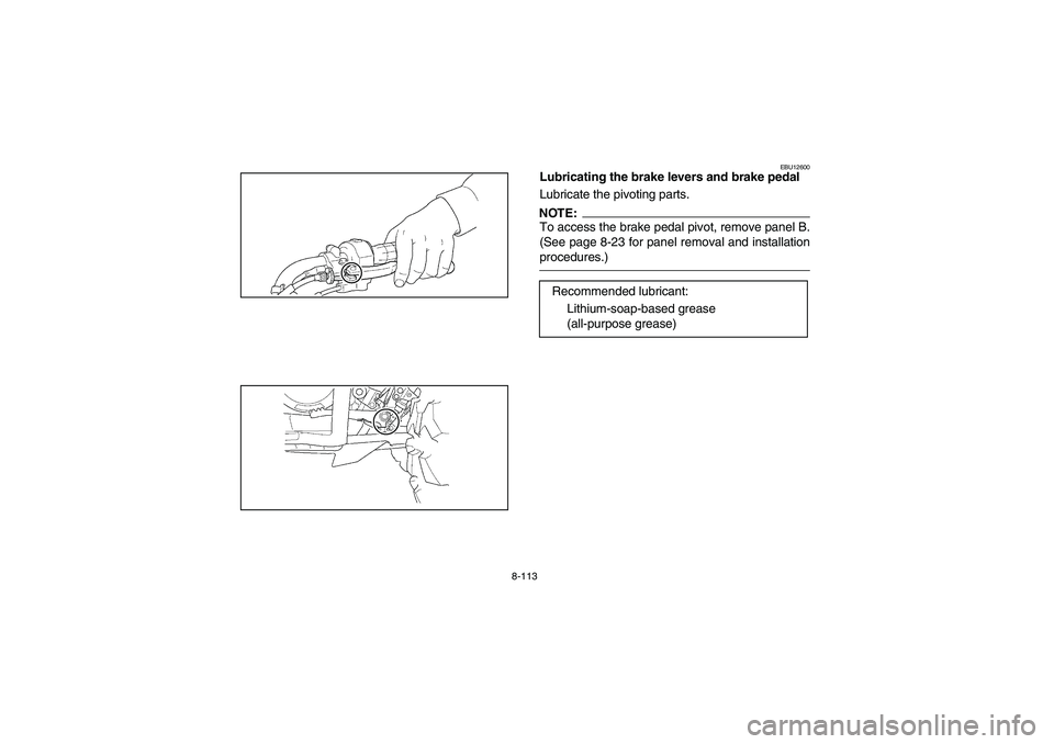 YAMAHA KODIAK 450 2006  Manuale de Empleo (in Spanish) 8-113
EBU12600
Lubricating the brake levers and brake pedal
Lubricate the pivoting parts.NOTE:_ To access the brake pedal pivot, remove panel B.
(See page 8-23 for panel removal and installation
proce