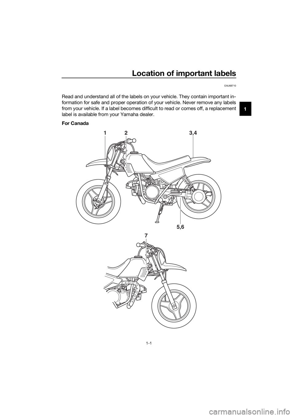 YAMAHA PW50 2019  Owners Manual Location of important labels
1-1
1
EAU68710
Read and understand all of the labels on your vehicle. They contain important in-
formation for safe and proper operation of your vehicle. Never remove any 