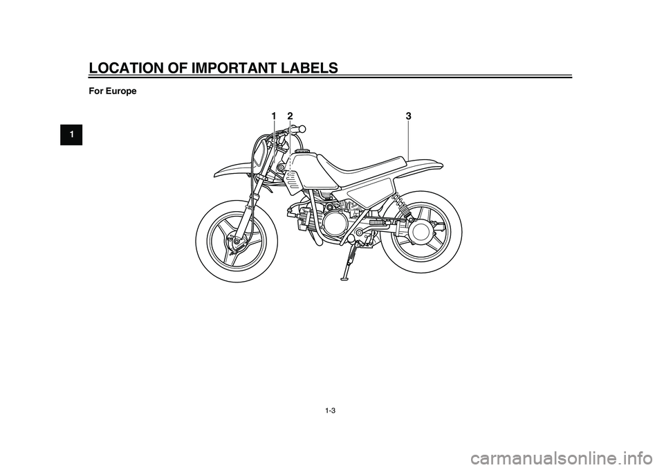 YAMAHA PW50 2010 User Guide  
LOCATION OF IMPORTANT LABELS 
1-3 
1
2
3
4
5
6
7
8
9For Europe
3
2
1 