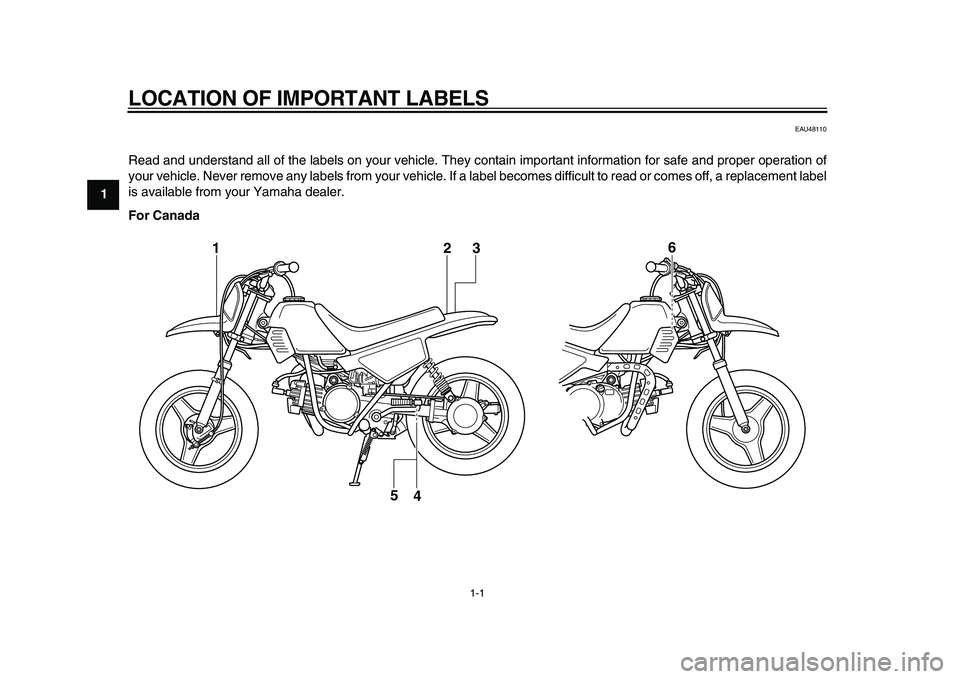 YAMAHA PW50 2010  Owners Manual  
1-1 
1 
LOCATION OF IMPORTANT LABELS  
EAU48110 
Read and understand all of the labels on your vehicle. They contain important information for safe and proper operation of
your vehicle. Never remove
