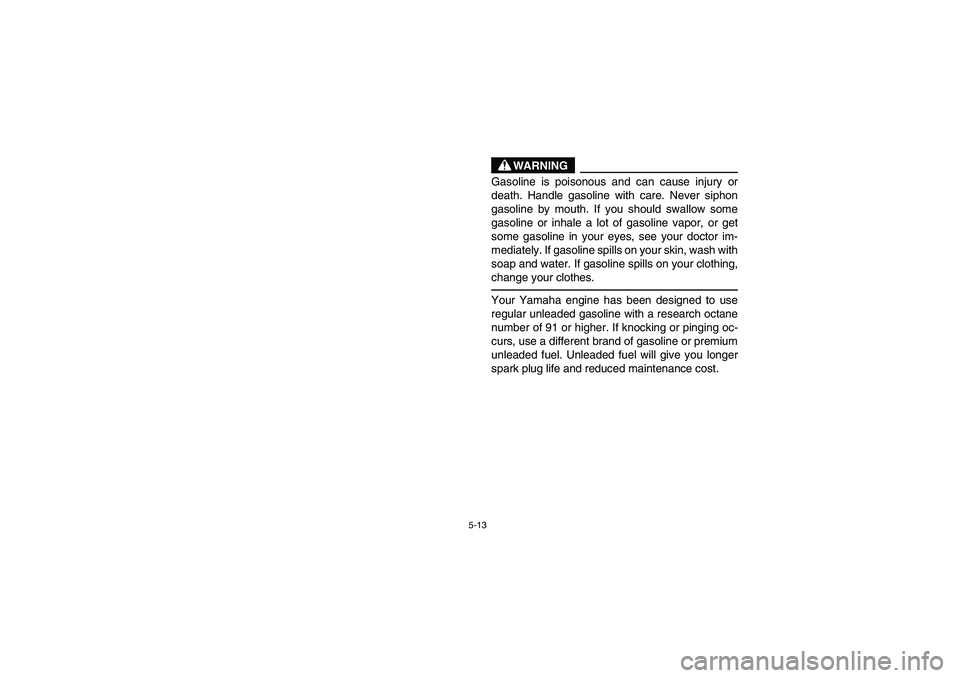 YAMAHA RHINO 700 2008  Owners Manual 5-13
WARNING
Gasoline is poisonous and can cause injury or
death. Handle gasoline with care. Never siphon
gasoline by mouth. If you should swallow some
gasoline or inhale a lot of gasoline vapor, or g