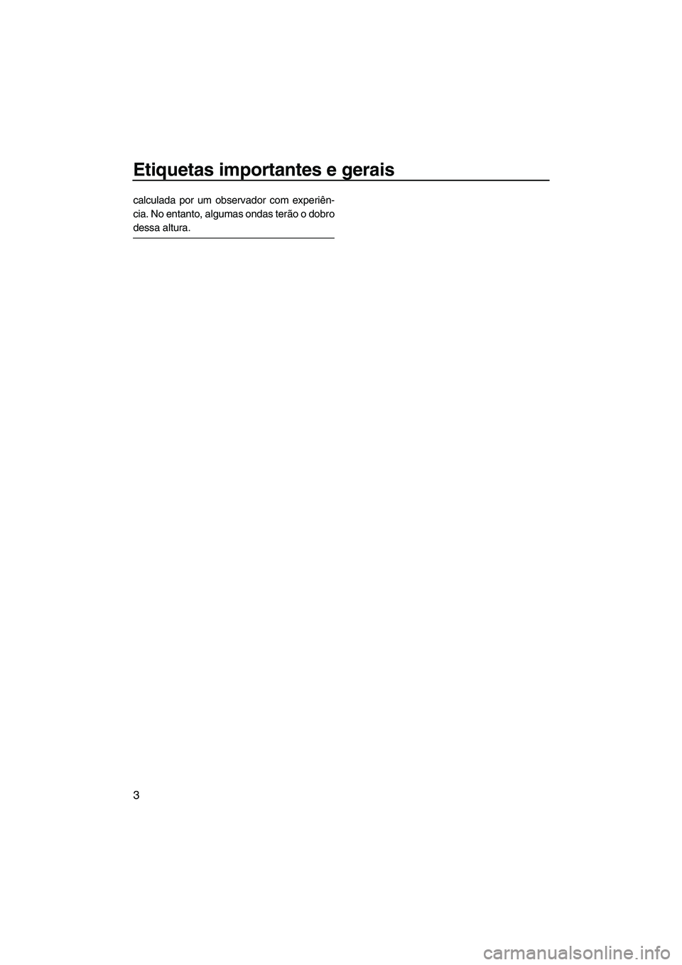 YAMAHA SUPERJET 2007  Manual de utilização (in Portuguese) Etiquetas importantes e gerais
3
calculada por um observador com experiên-
cia. No entanto, algumas ondas terão o dobro
dessa altura.
UF1N75P0.book  Page 3  Tuesday, May 16, 2006  5:36 PM 