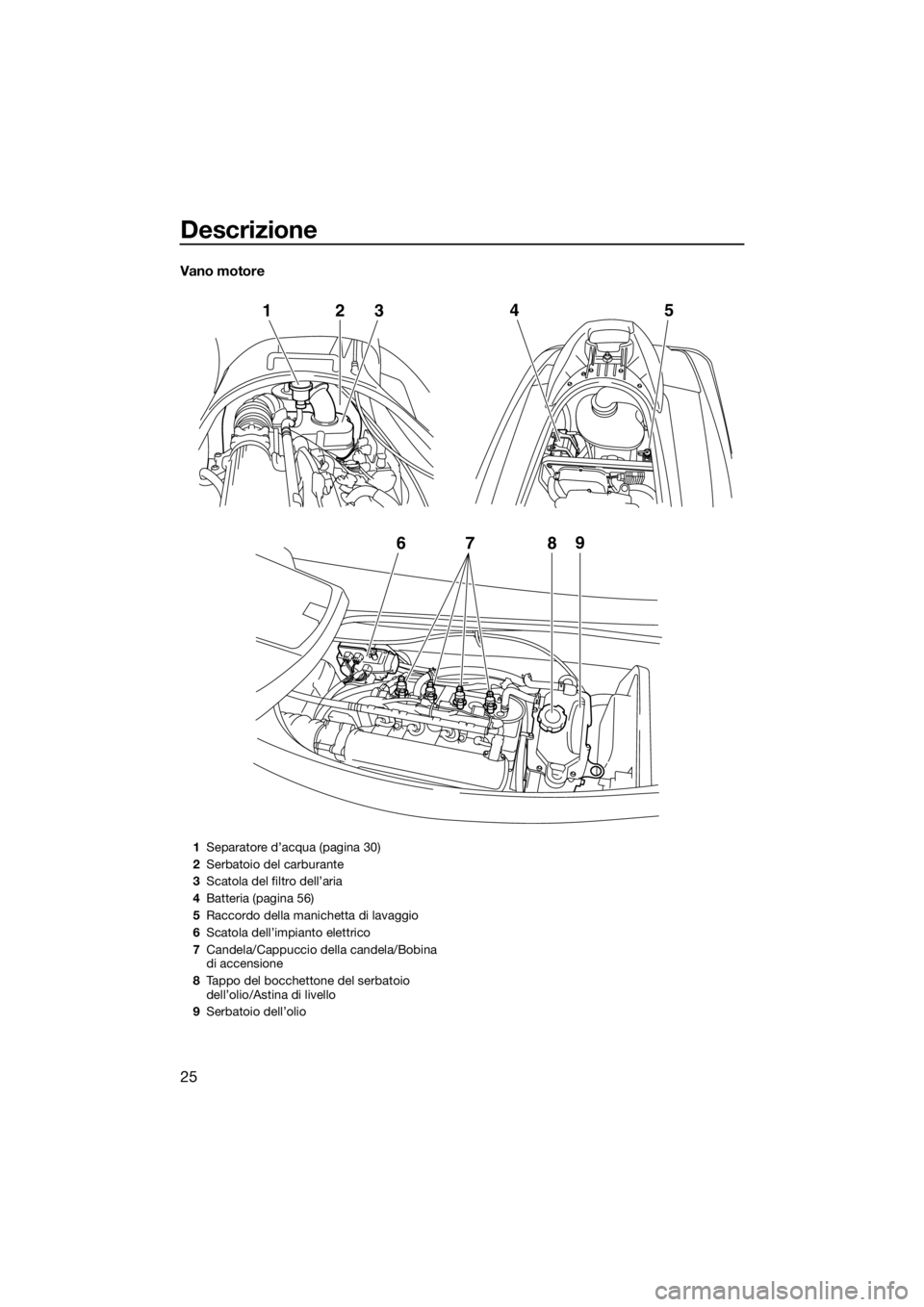 YAMAHA VX 2014 Manuale duso (in Italian) Descrizione
25
Vano motore
6
789
12
345
1Separatore d’acqua (pagina 30)
2Serbatoio del carburante
3Scatola del filtro dell’aria
4Batteria (pagina 56)
5Raccordo della manichetta di lavaggio
6Scatol YAMAHA VX 2014 Manuale duso (in Italian) Descrizione
25
Vano motore
6
789
12
345
1Separatore d’acqua (pagina 30)
2Serbatoio del carburante
3Scatola del filtro dell’aria
4Batteria (pagina 56)
5Raccordo della manichetta di lavaggio
6Scatol