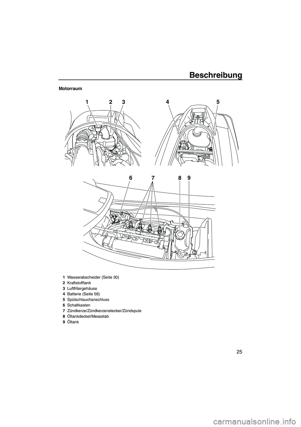 YAMAHA VX 2010  Betriebsanleitungen (in German) Beschreibung
25
Motorraum
6
789
12
345
1Wasserabscheider (Seite 30)
2Kraftstofftank
3Luftfiltergehäuse
4Batterie (Seite 56)
5Spülschlauchanschluss
6Schaltkasten
7Zündkerze/Zündkerzenstecker/Zünds