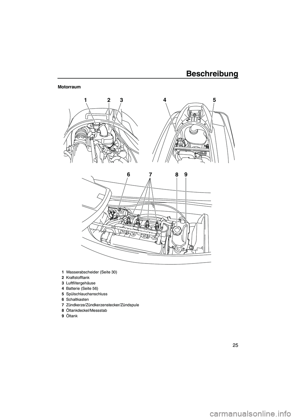 YAMAHA VX CRUISER 2010  Betriebsanleitungen (in German) Beschreibung
25
Motorraum
6
789
12
345
1Wasserabscheider (Seite 30)
2Kraftstofftank
3Luftfiltergehäuse
4Batterie (Seite 56)
5Spülschlauchanschluss
6Schaltkasten
7Zündkerze/Zündkerzenstecker/Zünds