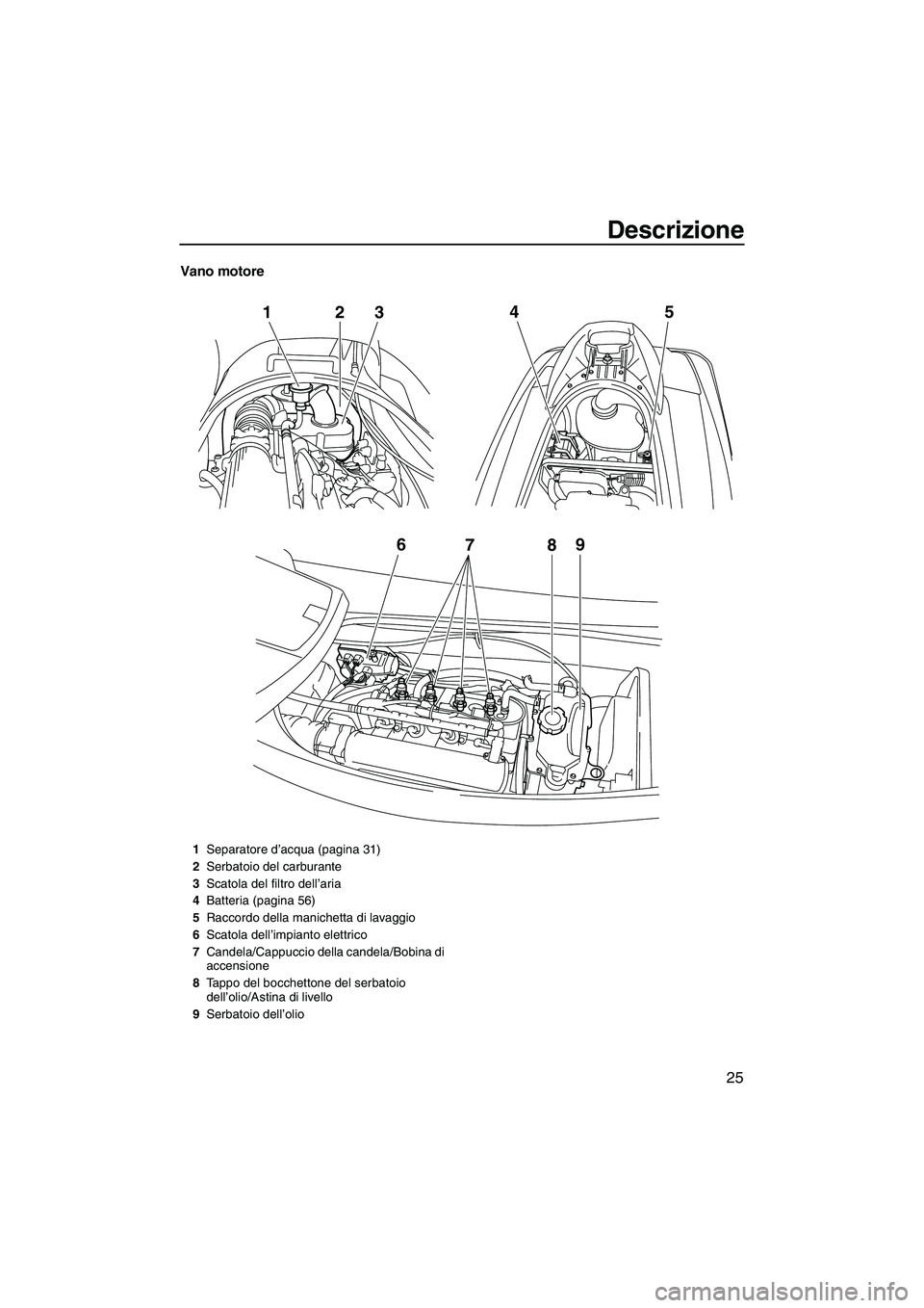 YAMAHA VX DELUXE 2010  Manuale duso (in Italian) Descrizione
25
Vano motore
6
789
12
345
1Separatore d’acqua (pagina 31)
2Serbatoio del carburante
3Scatola del filtro dell’aria
4Batteria (pagina 56)
5Raccordo della manichetta di lavaggio
6Scatol