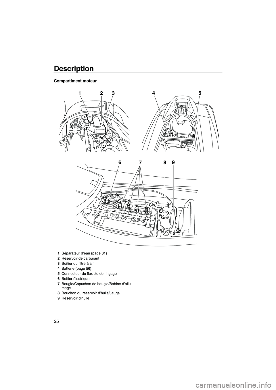 YAMAHA VX DELUXE 2013 Notices Demploi (in French) Description
25
Compartiment moteur
678 9
12
345
1Séparateur d’eau (page 31)
2 Réservoir de carburant
3 Boîtier du filtre à air
4 Batterie (page 56)
5 Connecteur du flexible de rinçage
6 Boîtie YAMAHA VX DELUXE 2013 Notices Demploi (in French) Description
25
Compartiment moteur
678 9
12
345
1Séparateur d’eau (page 31)
2 Réservoir de carburant
3 Boîtier du filtre à air
4 Batterie (page 56)
5 Connecteur du flexible de rinçage
6 Boîtie