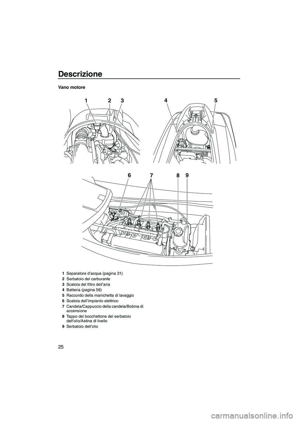 YAMAHA VX SPORT 2013  Manuale duso (in Italian) Descrizione
25
Vano motore
678 9
12
345
1Separatore d’acqua (pagina 31)
2 Serbatoio del carburante
3 Scatola del filtro dell’aria
4 Batteria (pagina 56)
5 Raccordo della manichetta di lavaggio
6 S