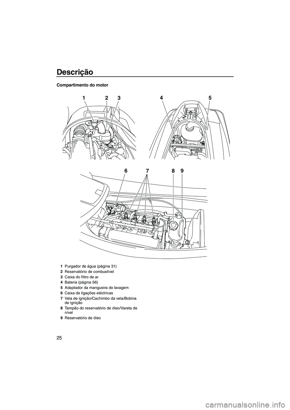 YAMAHA VX SPORT 2013  Manual de utilização (in Portuguese) Descrição
25
Compartimento do motor
678 9
12
345
1Purgador de água (página 31)
2 Reservatório de combustível
3 Caixa do filtro de ar
4 Bateria (página 56)
5 Adaptador da mangueira de lavagem
6 