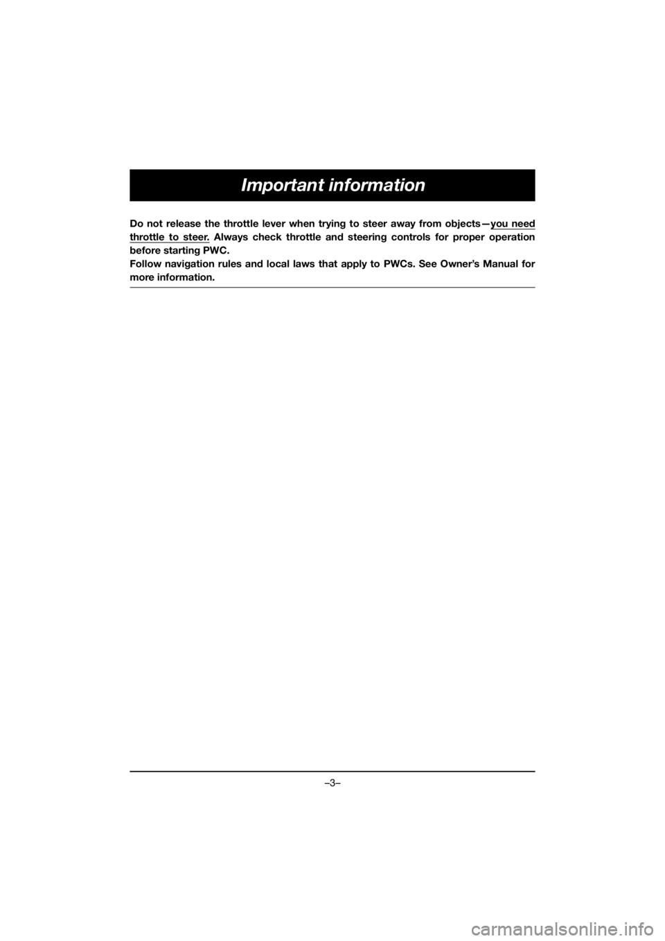 YAMAHA VX DELUXE 2019  Owners Manual –3–
Important information
Do not release the throttle lever when trying to steer away from objects—you need
throttle to steer. Always check throttle and steering controls for proper operation
be