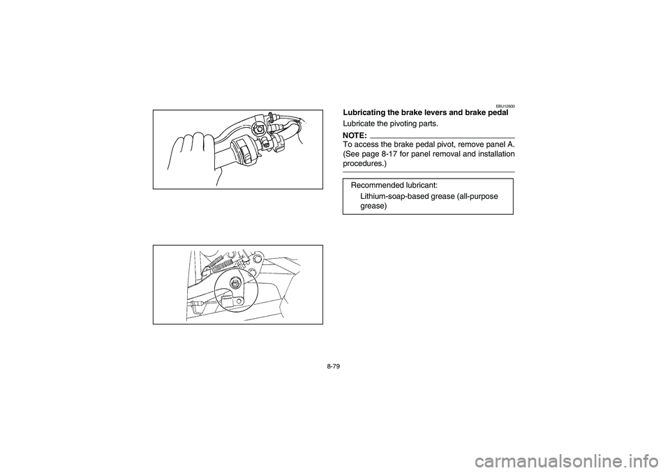 YAMAHA WOLVERINE 350 2004  Manuale de Empleo (in Spanish) 8-79
EBU12600
Lubricating the brake levers and brake pedal
Lubricate the pivoting parts.NOTE:_ To access the brake pedal pivot, remove panel A.
(See page 8-17 for panel removal and installation
proced