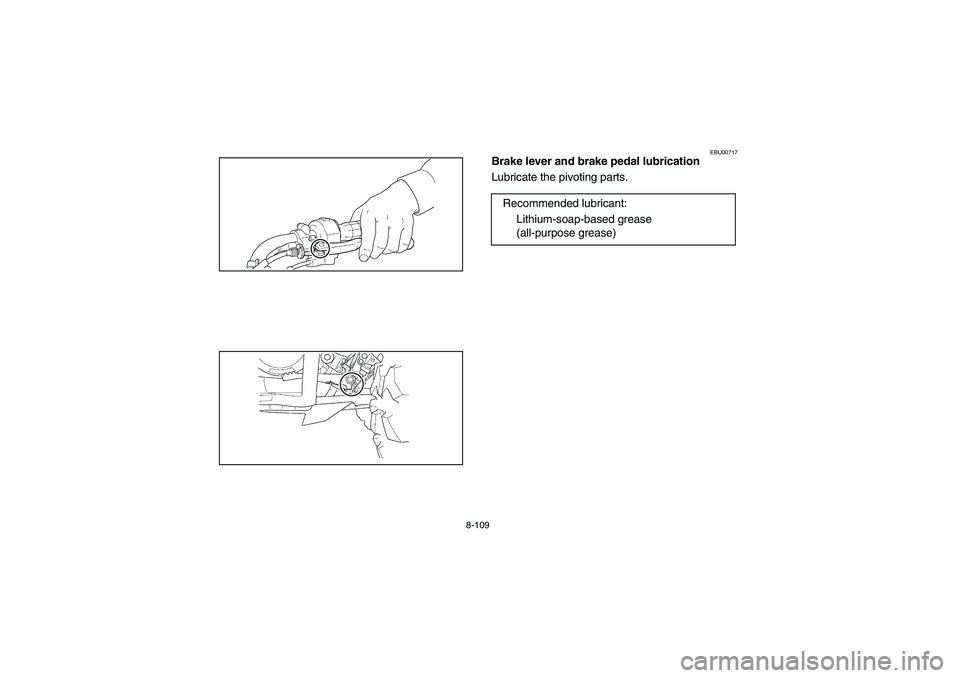 YAMAHA WOLVERINE 450 2004  Manuale de Empleo (in Spanish) 8-109
EBU00717
Brake lever and brake pedal lubrication
Lubricate the pivoting parts.
Recommended lubricant:
Lithium-soap-based grease 
(all-purpose grease)
U5ND61.book  Page 109  Thursday, June 5, 200