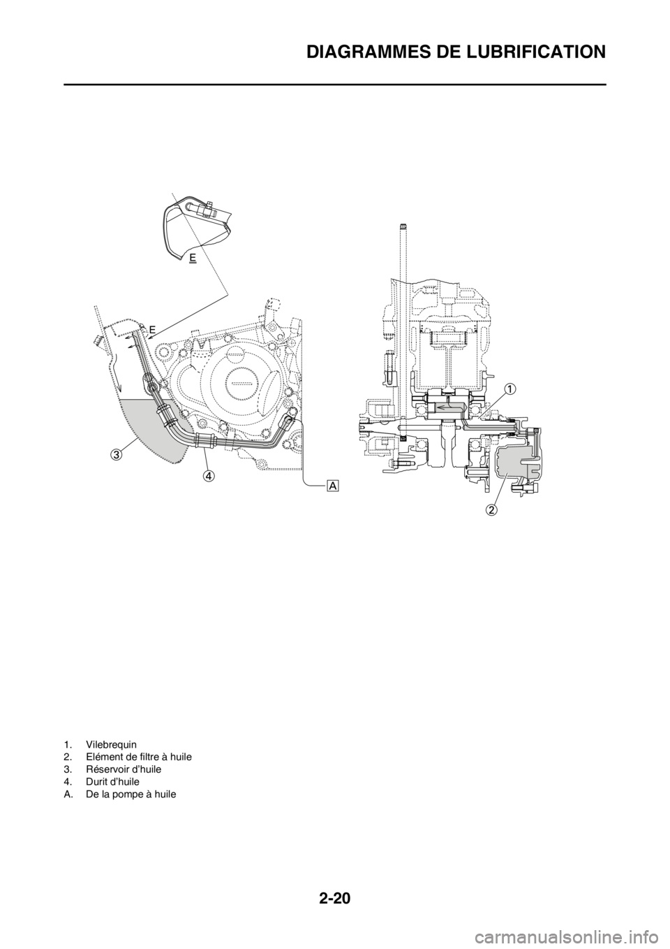 YAMAHA WR 250F 2012 Notices Demploi (in French) 2-20
DIAGRAMMES DE LUBRIFICATION
1. Vilebrequin
2. Elément de filtre à huile
3. Réservoir d’huile
4. Durit d’huile
A. De la pompe à huile YAMAHA WR 250F 2012 Notices Demploi (in French) 2-20
DIAGRAMMES DE LUBRIFICATION
1. Vilebrequin
2. Elément de filtre à huile
3. Réservoir d’huile
4. Durit d’huile
A. De la pompe à huile