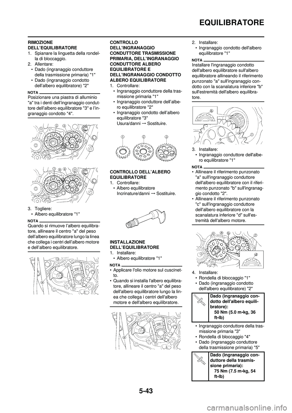 YAMAHA WR 250F 2010 Manuale duso (in Italian) 5-43
EQUILIBRATORE
RIMOZIONE
DELL’EQUILIBRATORE
1. Spianare la linguetta della rondel-la di bloccaggio.
2. Allentare: • Dado (ingranaggio conduttore della trasmissione primaria) "1"
• Dado (ing YAMAHA WR 250F 2010 Manuale duso (in Italian) 5-43
EQUILIBRATORE
RIMOZIONE
DELL’EQUILIBRATORE
1. Spianare la linguetta della rondel-la di bloccaggio.
2. Allentare: • Dado (ingranaggio conduttore della trasmissione primaria) "1"
• Dado (ing