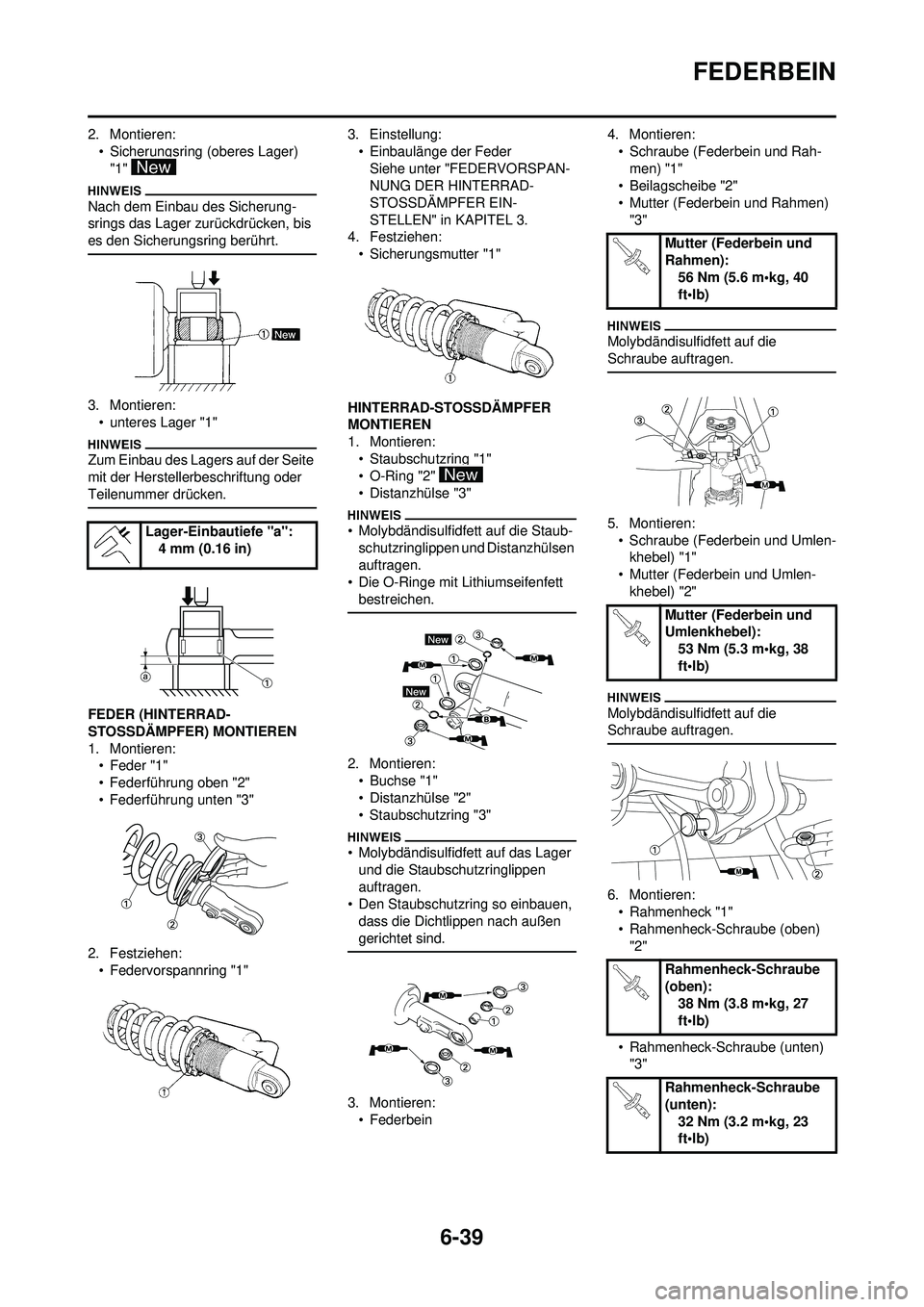 YAMAHA WR 250F 2009 Betriebsanleitungen (in German) 6-39
FEDERBEIN
2. Montieren:• Sicherungsring (oberes Lager) "1"
Nach dem Einbau des Sicherung-
srings das Lager zurückdrücken, bis
es den Sicherungsring berührt.
3. Montieren:• unteres Lager YAMAHA WR 250F 2009 Betriebsanleitungen (in German) 6-39
FEDERBEIN
2. Montieren:• Sicherungsring (oberes Lager) "1"
Nach dem Einbau des Sicherung-
srings das Lager zurückdrücken, bis
es den Sicherungsring berührt.
3. Montieren:• unteres Lager