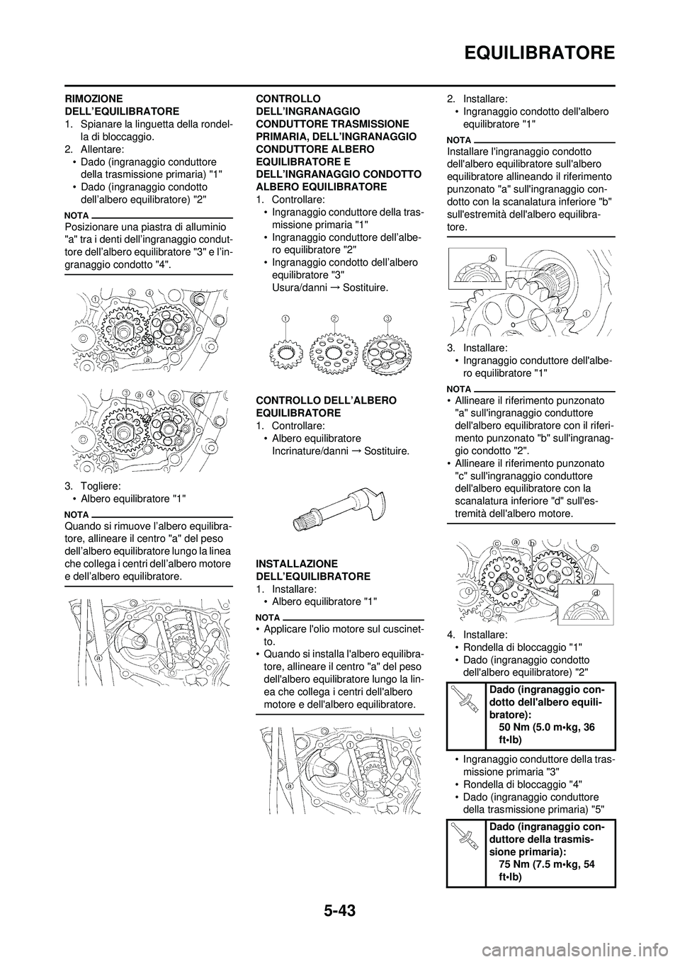 YAMAHA WR 250F 2009 Manuale duso (in Italian) 5-43
EQUILIBRATORE
RIMOZIONE
DELL’EQUILIBRATORE
1. Spianare la linguetta della rondel-la di bloccaggio.
2. Allentare: • Dado (ingranaggio conduttore della trasmissione primaria) "1"
• Dado (ing YAMAHA WR 250F 2009 Manuale duso (in Italian) 5-43
EQUILIBRATORE
RIMOZIONE
DELL’EQUILIBRATORE
1. Spianare la linguetta della rondel-la di bloccaggio.
2. Allentare: • Dado (ingranaggio conduttore della trasmissione primaria) "1"
• Dado (ing
