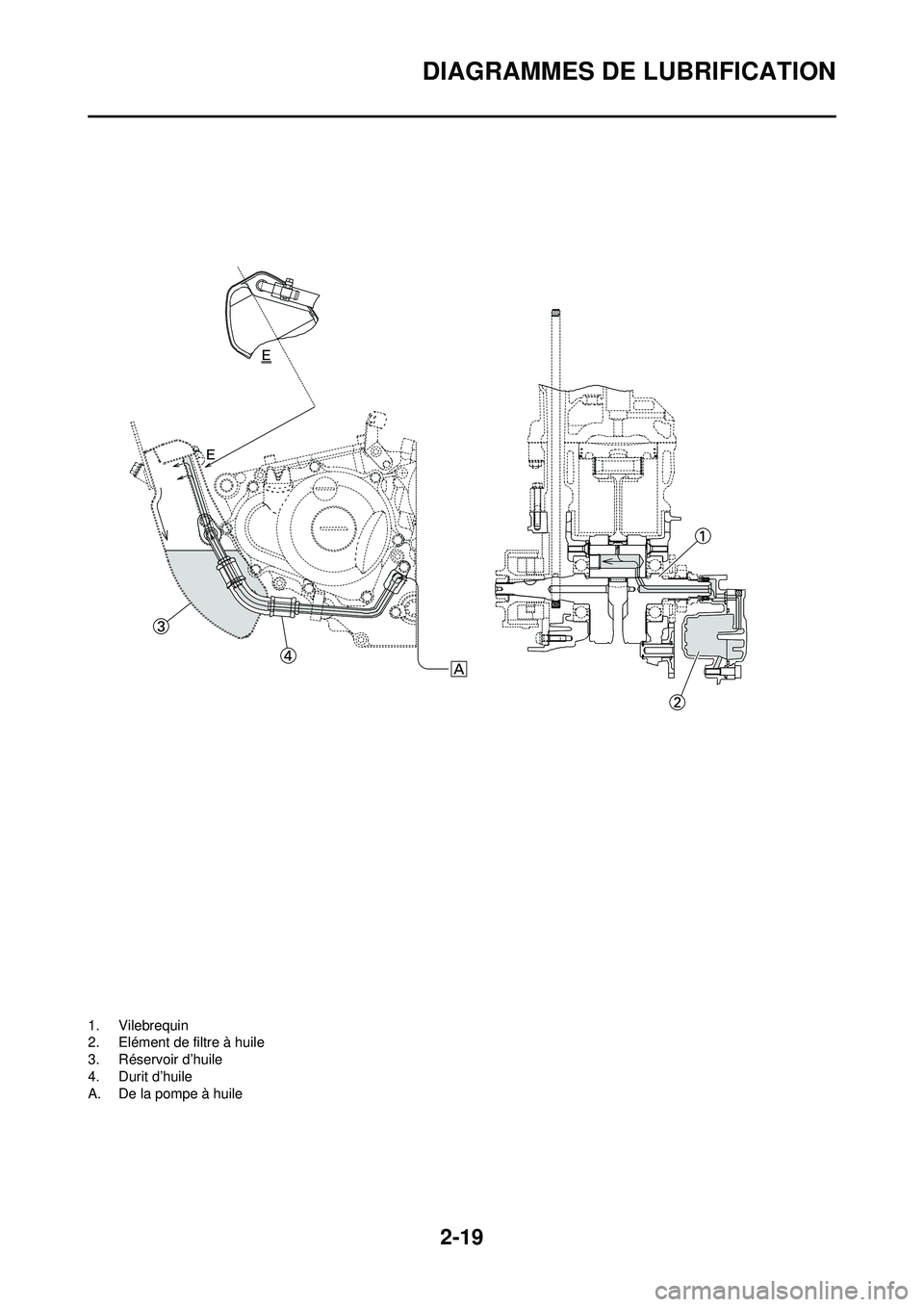 YAMAHA WR 250F 2008  Notices Demploi (in French) 2-19
DIAGRAMMES DE LUBRIFICATION
1. Vilebrequin
2. Elément de filtre à huile
3. Réservoir d’huile
4. Durit d’huile
A. De la pompe à huile 