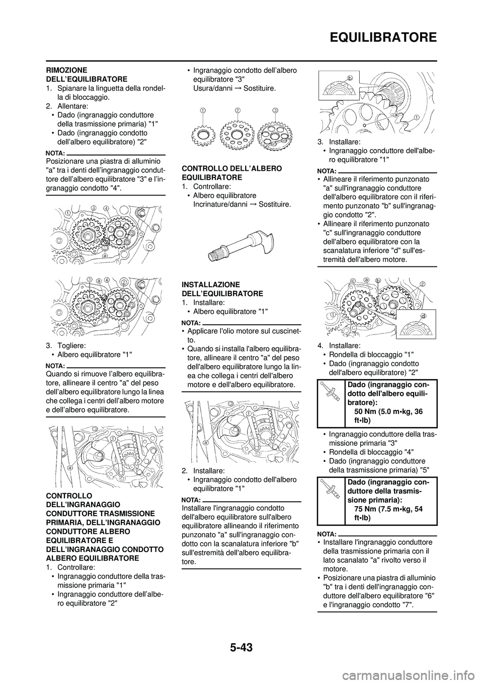 YAMAHA WR 250F 2008 Manuale duso (in Italian) 5-43
EQUILIBRATORE
RIMOZIONE
DELL’EQUILIBRATORE
1. Spianare la linguetta della rondel-la di bloccaggio.
2. Allentare: • Dado (ingranaggio conduttore della trasmissione primaria) "1"
• Dado (ing YAMAHA WR 250F 2008 Manuale duso (in Italian) 5-43
EQUILIBRATORE
RIMOZIONE
DELL’EQUILIBRATORE
1. Spianare la linguetta della rondel-la di bloccaggio.
2. Allentare: • Dado (ingranaggio conduttore della trasmissione primaria) "1"
• Dado (ing