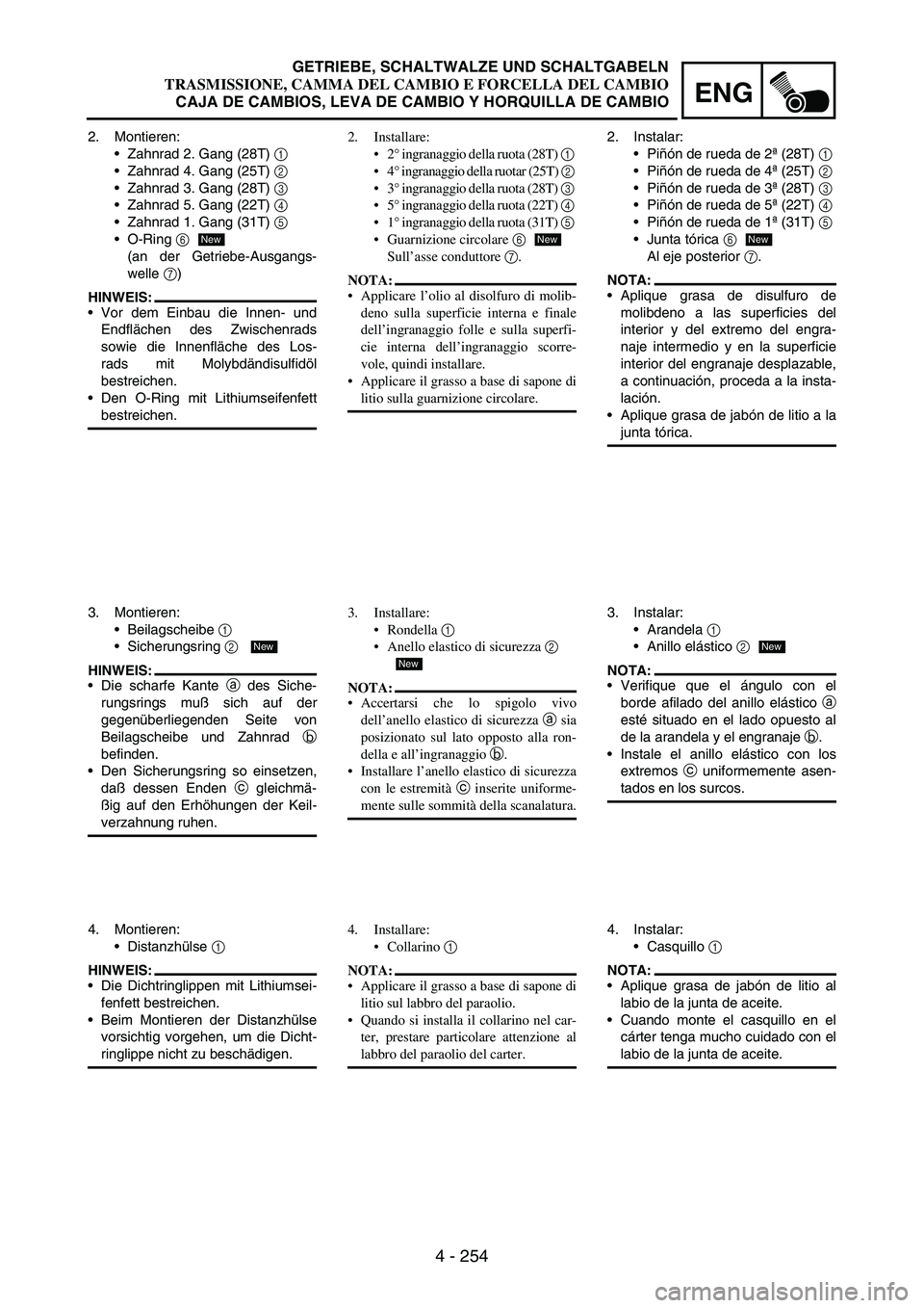 YAMAHA WR 250F 2005 Manuale de Empleo (in Spanish) 4 - 254
ENG
2. Montieren:
Zahnrad 2. Gang (28T)
1
Zahnrad 4. Gang (25T)
2
Zahnrad 3. Gang (28T)
3
Zahnrad 5. Gang (22T)
4
Zahnrad 1. Gang (31T)
5
O-Ring
6
(an der Getriebe-Ausgangs-
w YAMAHA WR 250F 2005 Manuale de Empleo (in Spanish) 4 - 254
ENG
2. Montieren:
Zahnrad 2. Gang (28T)
1
Zahnrad 4. Gang (25T)
2
Zahnrad 3. Gang (28T)
3
Zahnrad 5. Gang (22T)
4
Zahnrad 1. Gang (31T)
5
O-Ring
6
(an der Getriebe-Ausgangs-
w