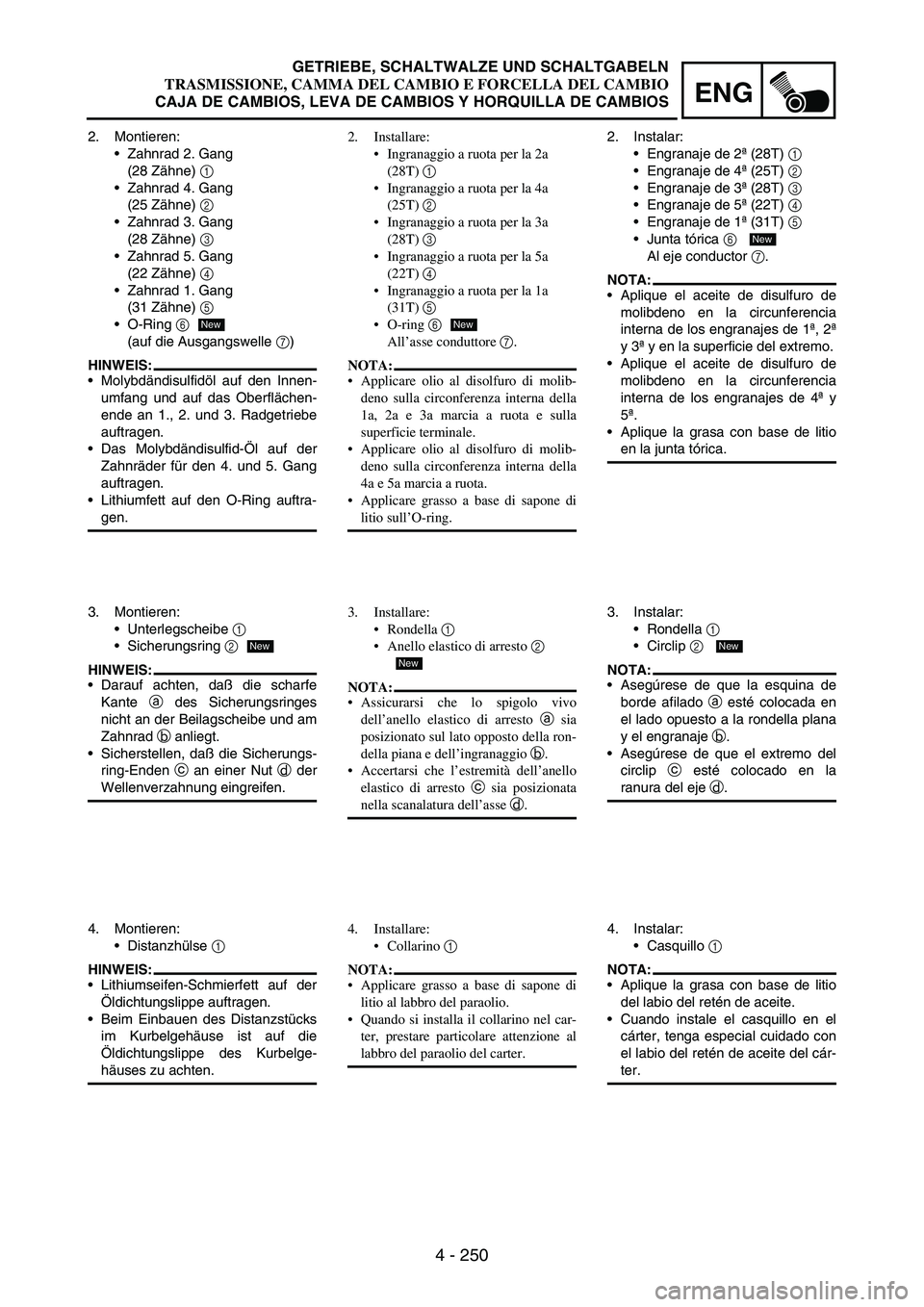 YAMAHA WR 250F 2003 Manuale duso (in Italian) 4 - 250
ENG
2. Montieren:
Zahnrad 2. Gang
(28 Zähne)
1
Zahnrad 4. Gang
(25 Zähne)
2
Zahnrad 3. Gang
(28 Zähne)
3
Zahnrad 5. Gang
(22 Zähne)
4
Zahnrad 1. Gang
(31 Zähne)
5
O-R YAMAHA WR 250F 2003 Manuale duso (in Italian) 4 - 250
ENG
2. Montieren:
Zahnrad 2. Gang
(28 Zähne)
1
Zahnrad 4. Gang
(25 Zähne)
2
Zahnrad 3. Gang
(28 Zähne)
3
Zahnrad 5. Gang
(22 Zähne)
4
Zahnrad 1. Gang
(31 Zähne)
5
O-R
