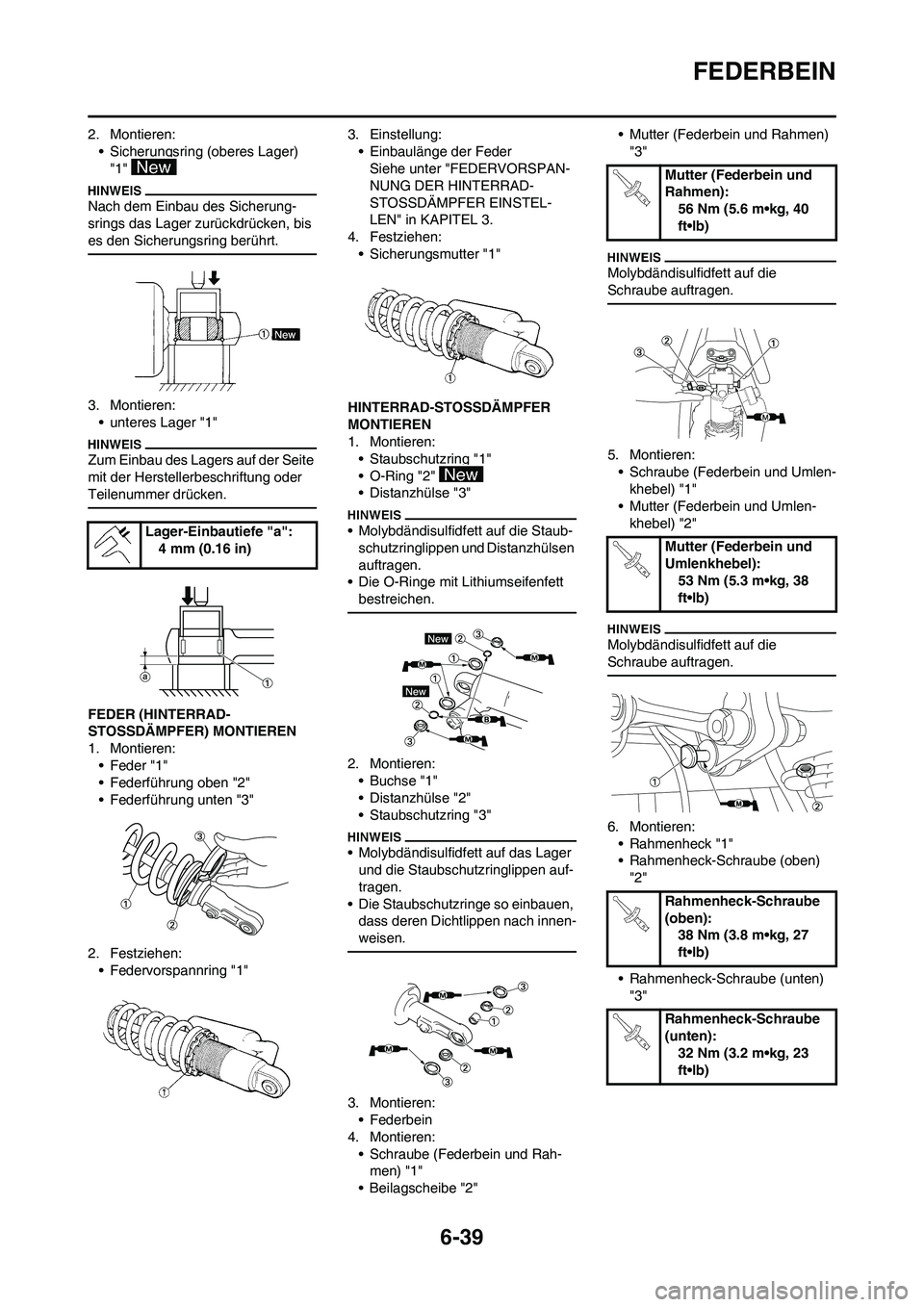 YAMAHA WR 450F 2010 Betriebsanleitungen (in German) 6-39
FEDERBEIN
2. Montieren:
• Sicherungsring (oberes Lager)
"1"
Nach dem Einbau des Sicherung-
srings das Lager zurückdrücken, bis
es den Sicherungsring berührt.
3. Montieren:
• unteres Lag YAMAHA WR 450F 2010 Betriebsanleitungen (in German) 6-39
FEDERBEIN
2. Montieren:
• Sicherungsring (oberes Lager)
"1"
Nach dem Einbau des Sicherung-
srings das Lager zurückdrücken, bis
es den Sicherungsring berührt.
3. Montieren:
• unteres Lag