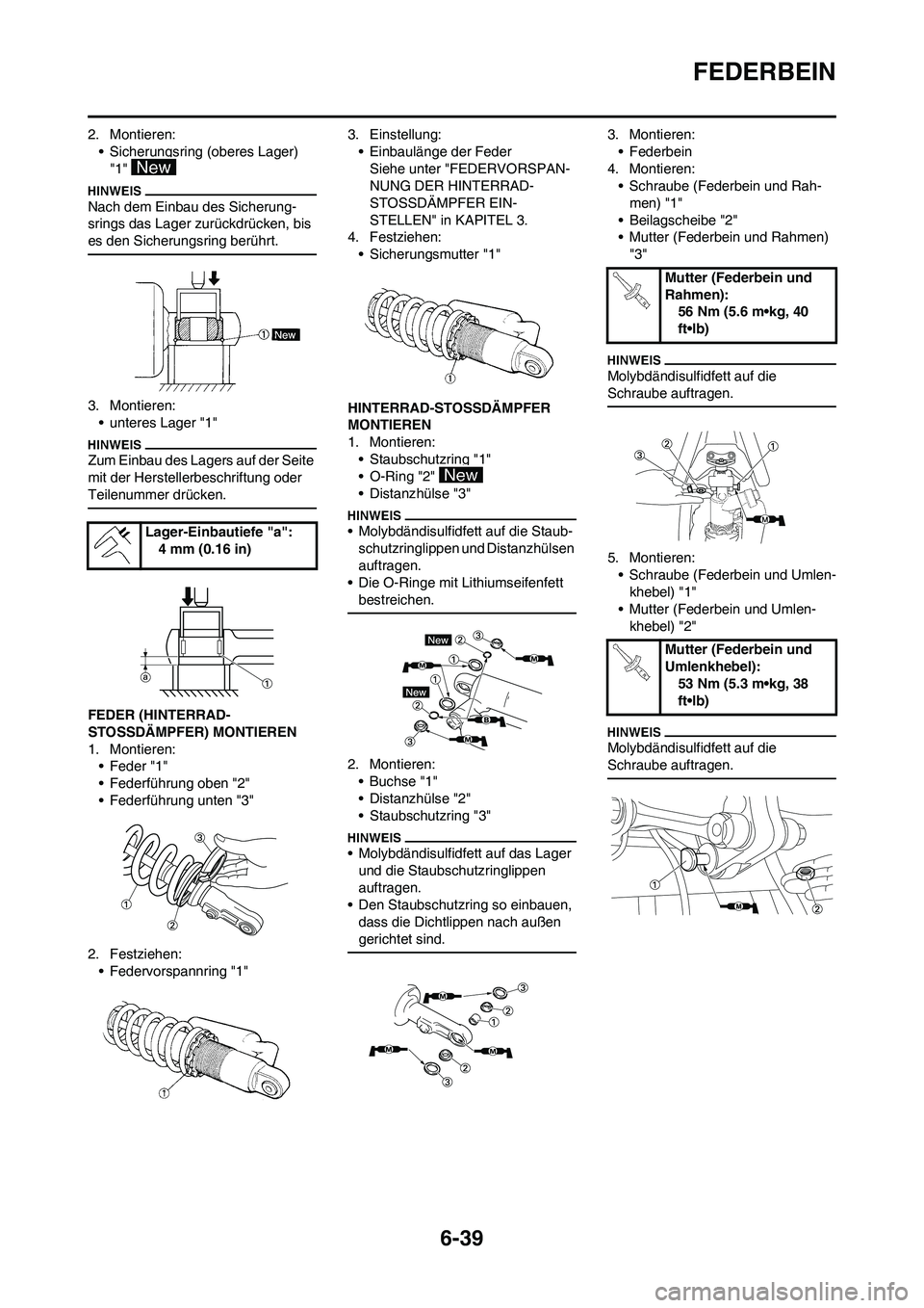 YAMAHA WR 450F 2009 Betriebsanleitungen (in German) 6-39
FEDERBEIN
2. Montieren:
• Sicherungsring (oberes Lager)
"1"
Nach dem Einbau des Sicherung-
srings das Lager zurückdrücken, bis
es den Sicherungsring berührt.
3. Montieren:
• unteres Lag YAMAHA WR 450F 2009 Betriebsanleitungen (in German) 6-39
FEDERBEIN
2. Montieren:
• Sicherungsring (oberes Lager)
"1"
Nach dem Einbau des Sicherung-
srings das Lager zurückdrücken, bis
es den Sicherungsring berührt.
3. Montieren:
• unteres Lag