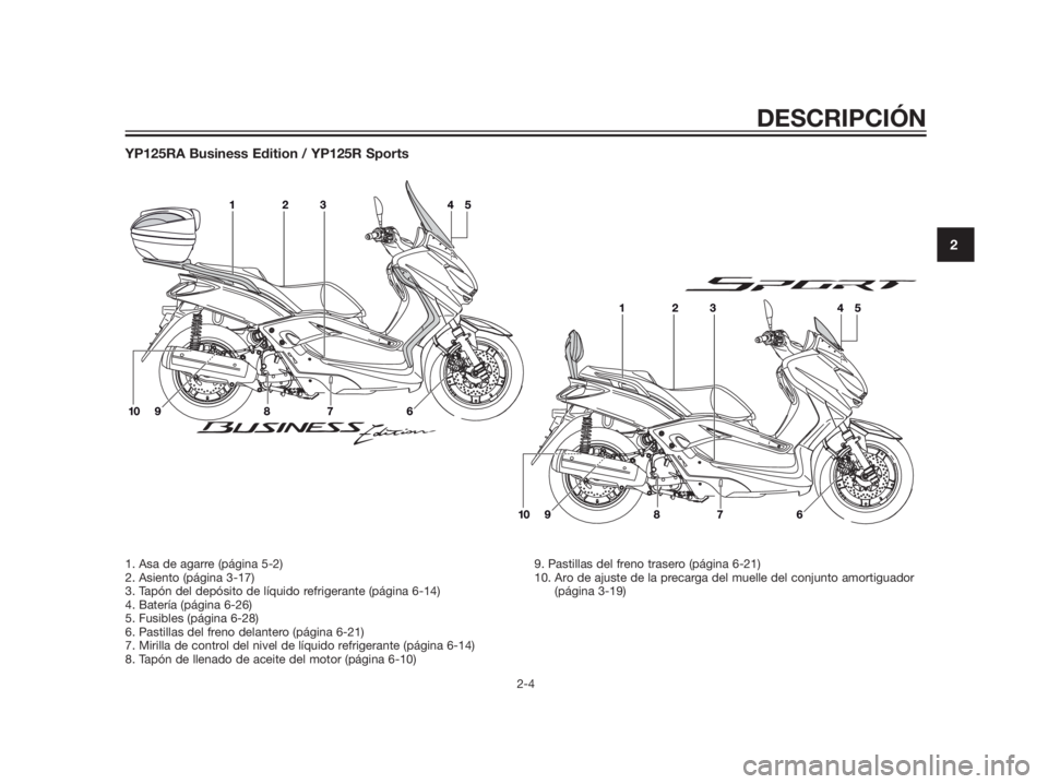 YAMAHA XMAX 125 2012  Manuale de Empleo (in Spanish) YP125RA Business Edition / YP125R Sports
DESCRIPCIÓN
2-4
2
1. Asa de agarre (página 5-2)
2. Asiento (página 3-17)
3. Tapón del depósito de líquido refrigerante (página 6-14)
4. Batería (págin