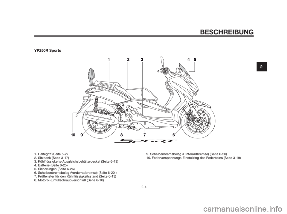YAMAHA XMAX 250 2013  Betriebsanleitungen (in German) YP250R Sports
BESCHREIBUNG
2-4
2
1. Haltegriff (Seite 5-2)
2. Sitzbank (Seite 3-17)
3. Kühlflüssigkeits-Ausgleichsbehälterdeckel (Seite 6-13)
4. Batterie (Seite 6-25)
5. Sicherungen (Seite 6-26)
6.