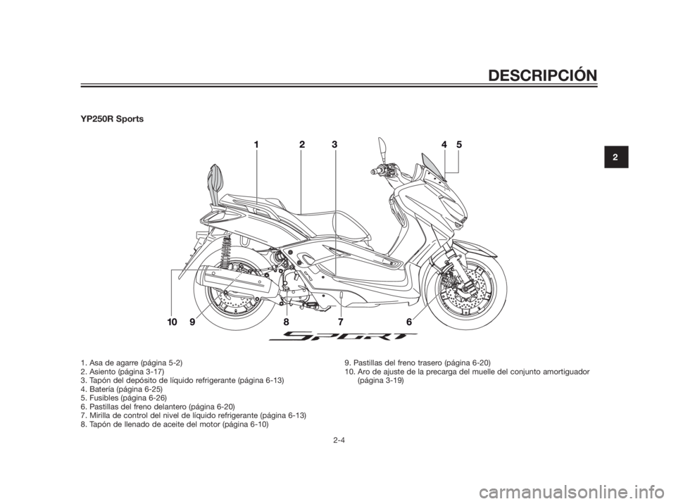 YAMAHA XMAX 250 2013  Manuale de Empleo (in Spanish) YP250R Sports
DESCRIPCIÓN
2-4
2
1. Asa de agarre (página 5-2)
2. Asiento (página 3-17)
3. Tapón del depósito de líquido refrigerante (página 6-13)
4. Batería (página 6-25)
5. Fusibles (págin