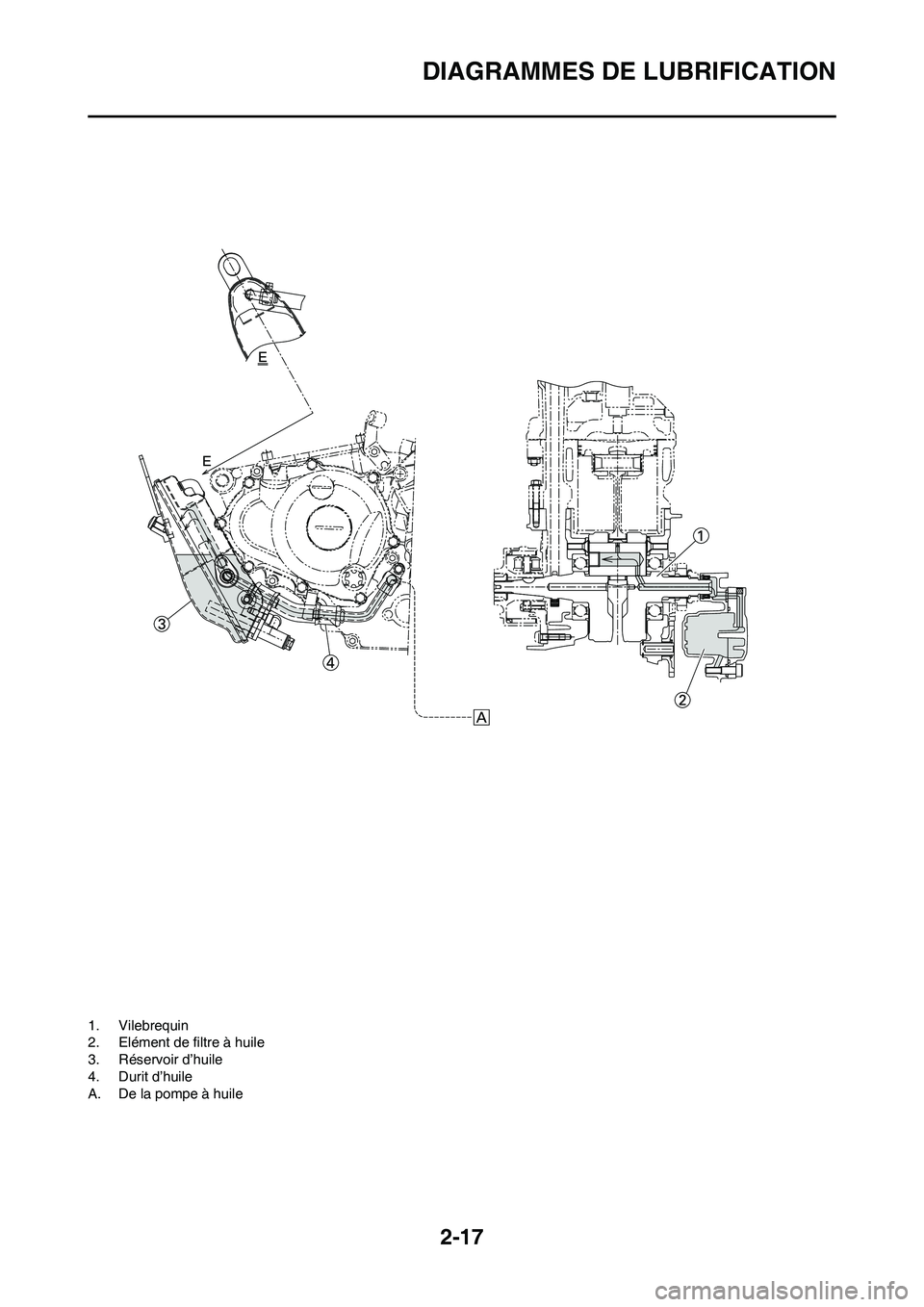 YAMAHA YZ250F 2011 Notices Demploi (in French) 2-17
DIAGRAMMES DE LUBRIFICATION
1. Vilebrequin
2. Elément de filtre à huile
3. Réservoir d’huile
4. Durit d’huile
A. De la pompe à huile YAMAHA YZ250F 2011 Notices Demploi (in French) 2-17
DIAGRAMMES DE LUBRIFICATION
1. Vilebrequin
2. Elément de filtre à huile
3. Réservoir d’huile
4. Durit d’huile
A. De la pompe à huile