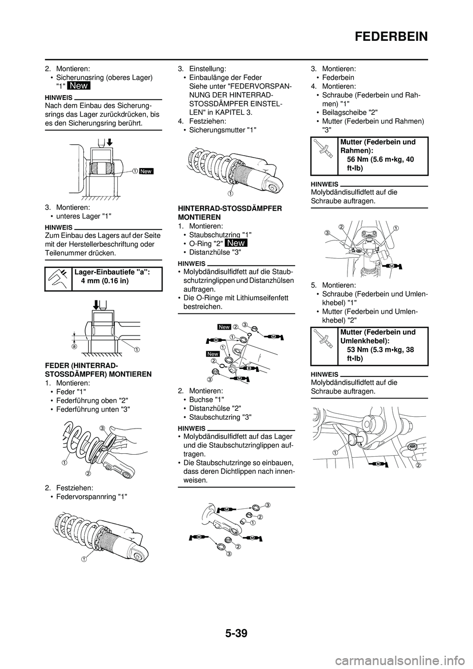 YAMAHA YZ250F 2010  Betriebsanleitungen (in German) 5-39
FEDERBEIN
2. Montieren:• Sicherungsring (oberes Lager) "1" 
Nach dem Einbau des Sicherung-
srings das Lager zurückdrücken, bis 
es den Sicherungsring berührt.
3. Montieren:• unteres Lager 