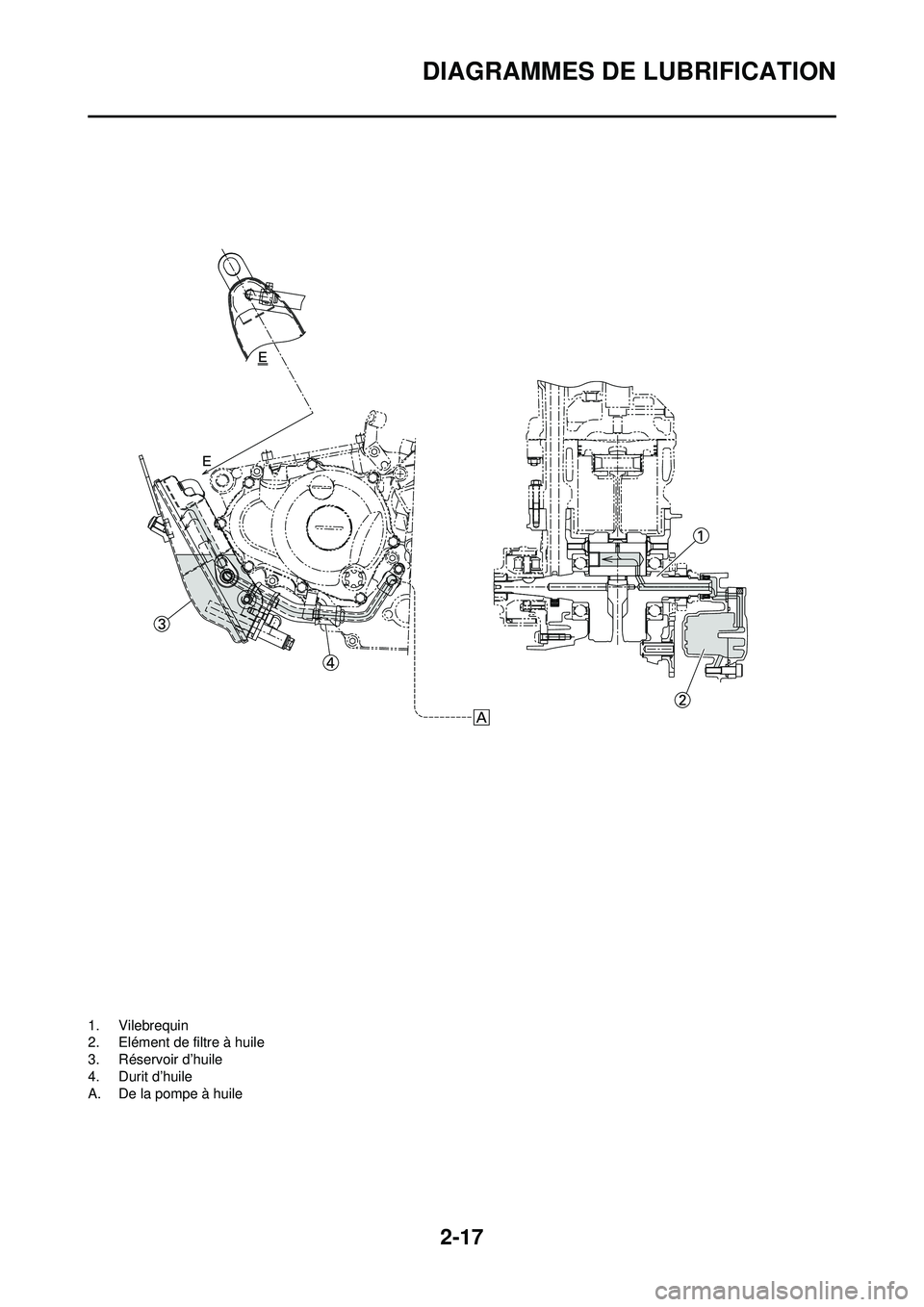 YAMAHA YZ250F 2010 Notices Demploi (in French) 2-17
DIAGRAMMES DE LUBRIFICATION
1. Vilebrequin
2. Elément de filtre à huile
3. Réservoir d’huile
4. Durit d’huile
A. De la pompe à huile YAMAHA YZ250F 2010 Notices Demploi (in French) 2-17
DIAGRAMMES DE LUBRIFICATION
1. Vilebrequin
2. Elément de filtre à huile
3. Réservoir d’huile
4. Durit d’huile
A. De la pompe à huile
