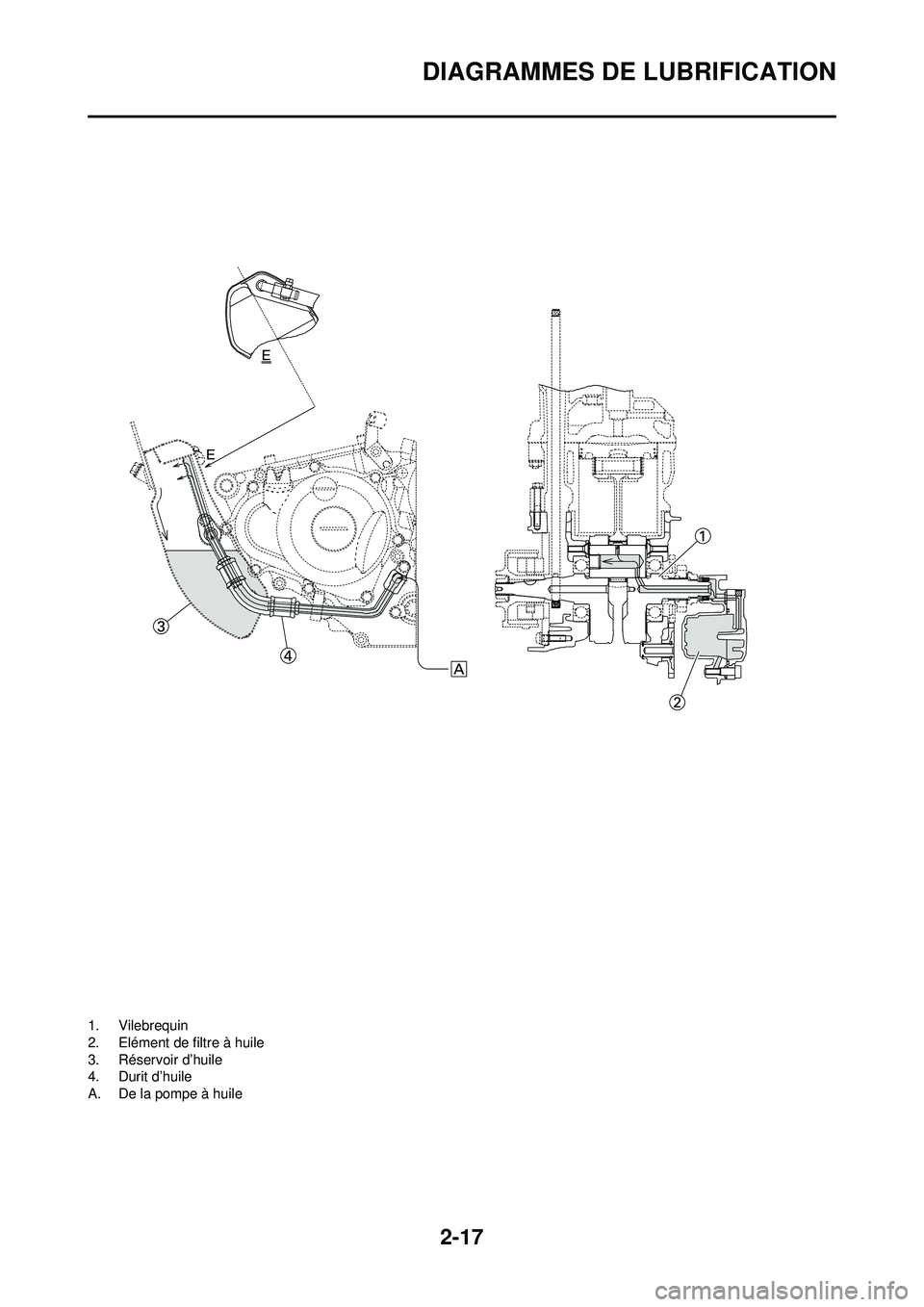 YAMAHA YZ250F 2008 Notices Demploi (in French) 2-17
DIAGRAMMES DE LUBRIFICATION
1. Vilebrequin
2. Elément de filtre à huile
3. Réservoir d’huile
4. Durit d’huile
A. De la pompe à huile YAMAHA YZ250F 2008 Notices Demploi (in French) 2-17
DIAGRAMMES DE LUBRIFICATION
1. Vilebrequin
2. Elément de filtre à huile
3. Réservoir d’huile
4. Durit d’huile
A. De la pompe à huile